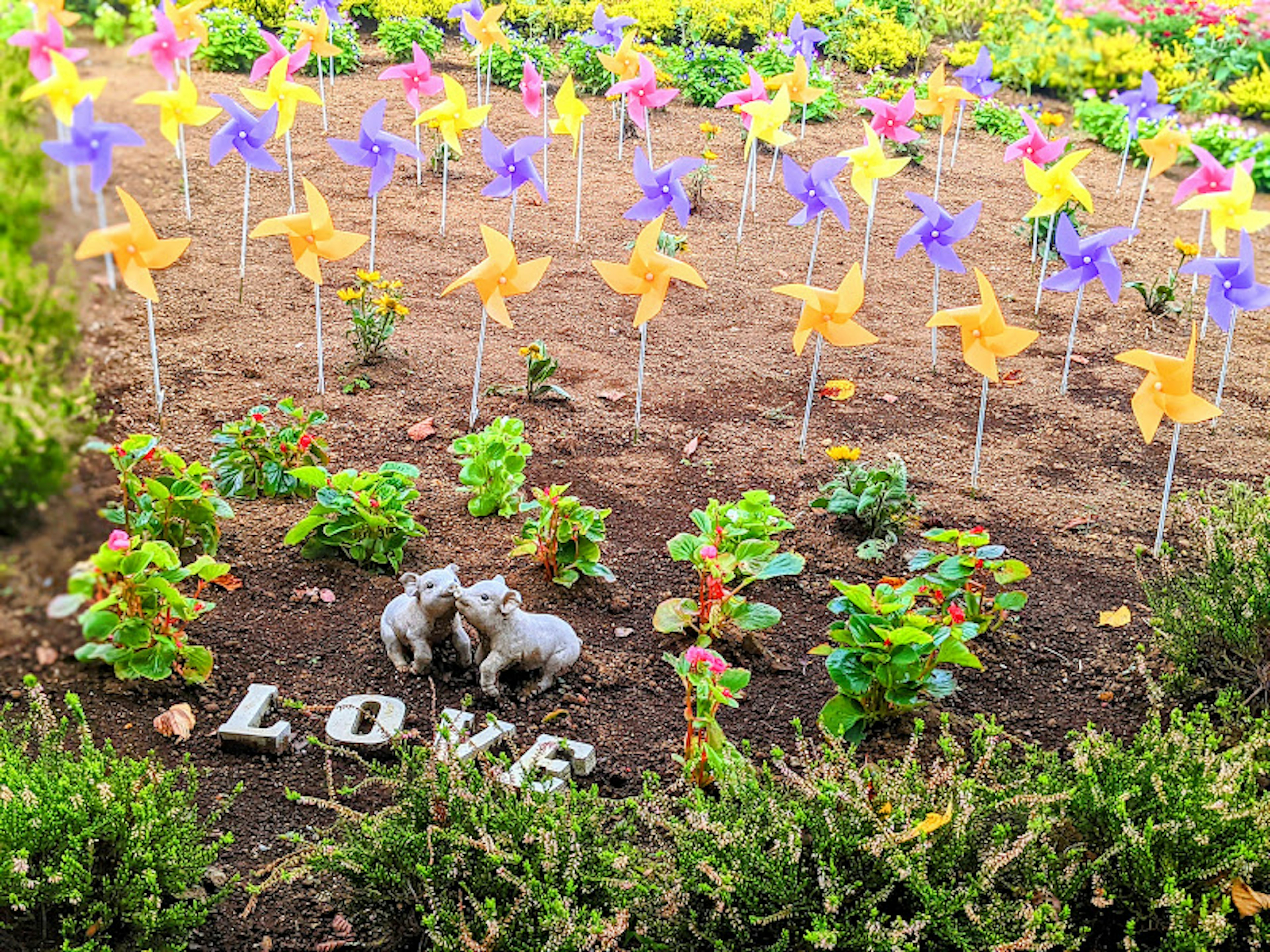 Bunte Windräder und das Wort Liebe in einem Blumenbeet