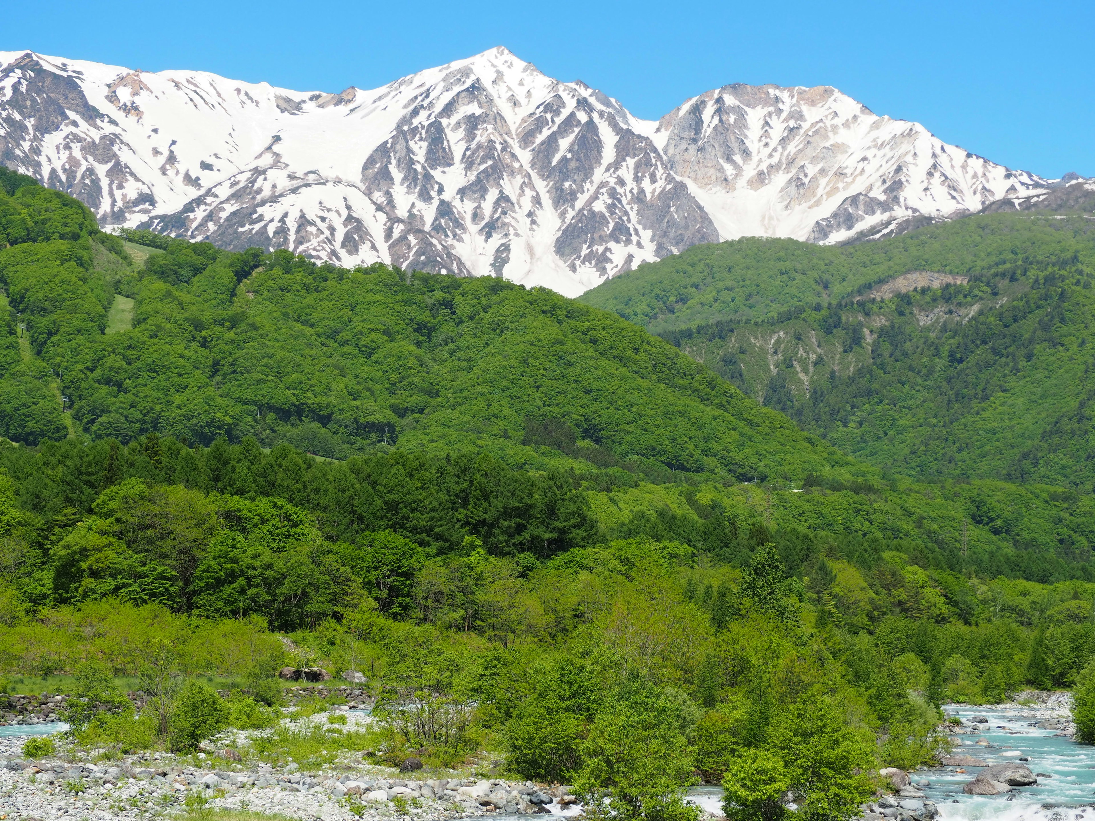 Vista panoramica di montagne verdi con cime innevate