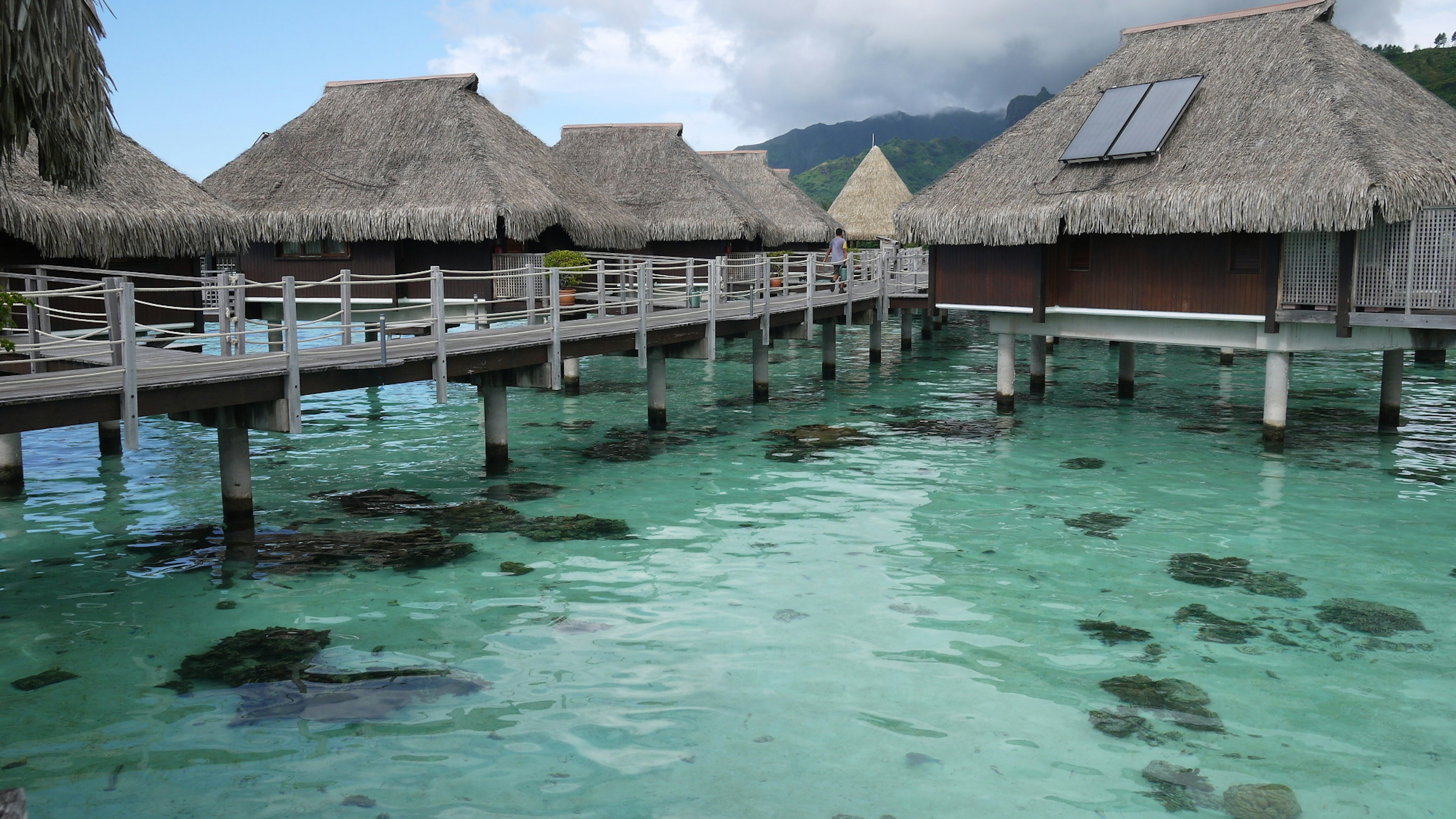 Hermosos bungalows sobre el agua y vista al océano claro