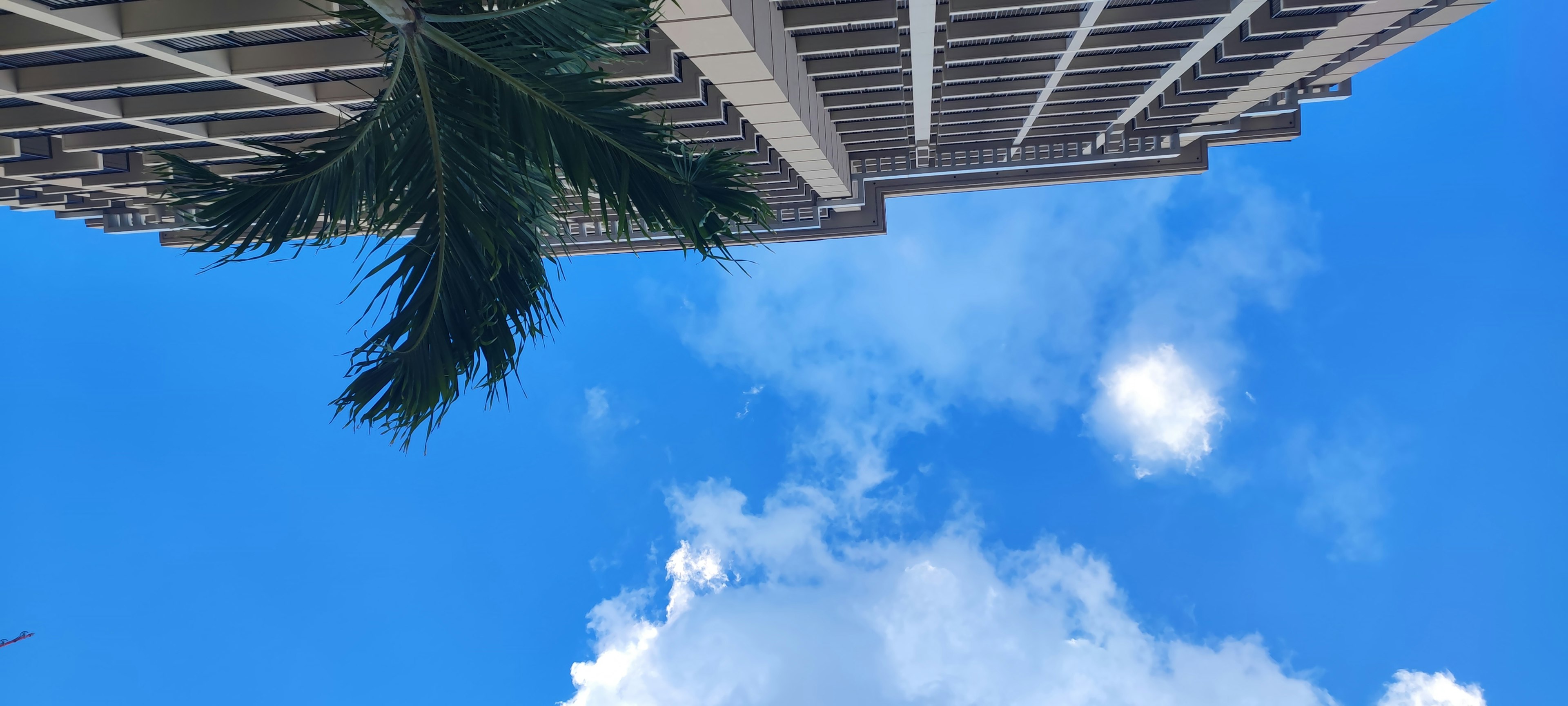 Edificio e palma contro un cielo blu con nuvole bianche