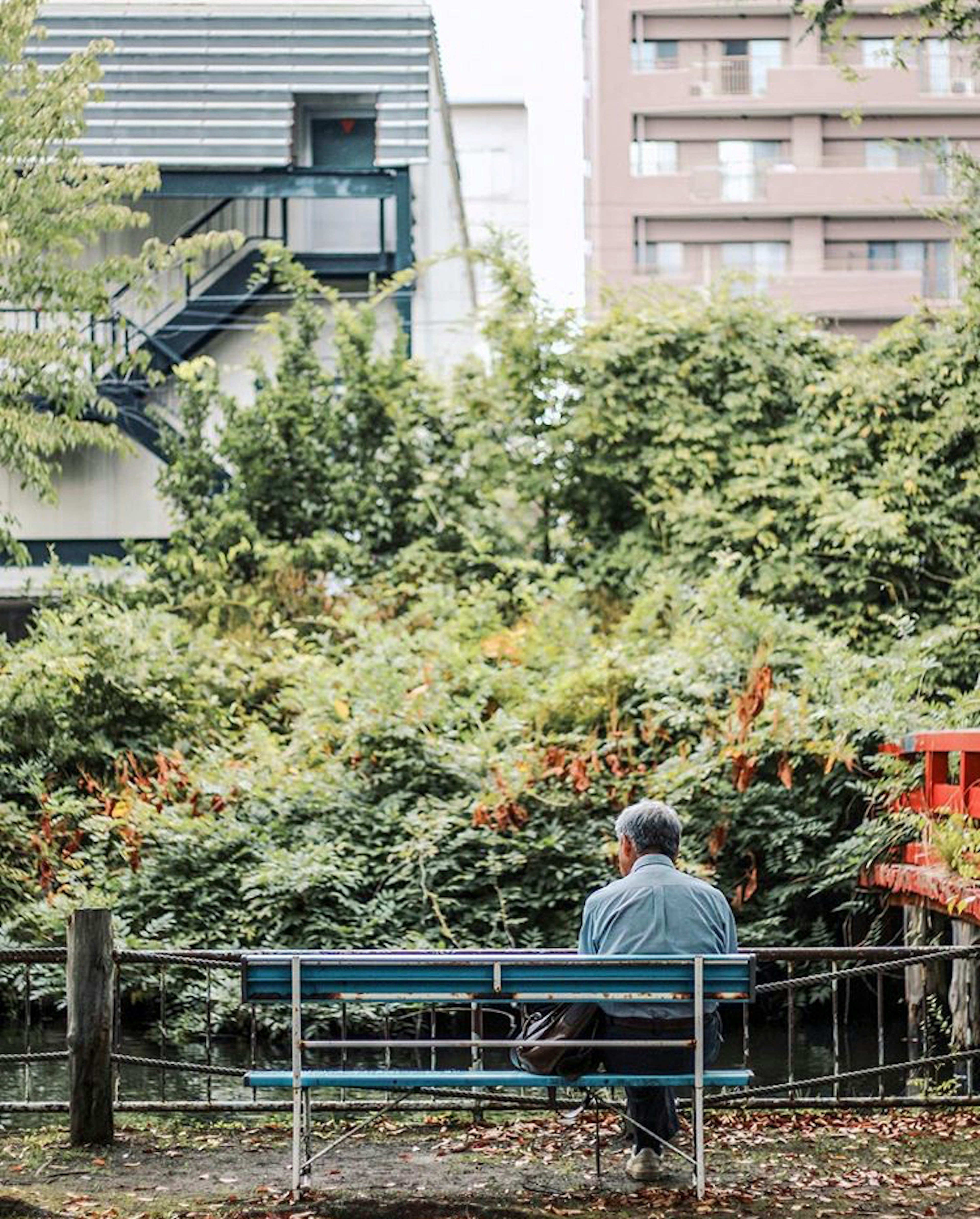 一個男人坐在公園長椅上，背景是郁郁蔥蔥的綠色植物