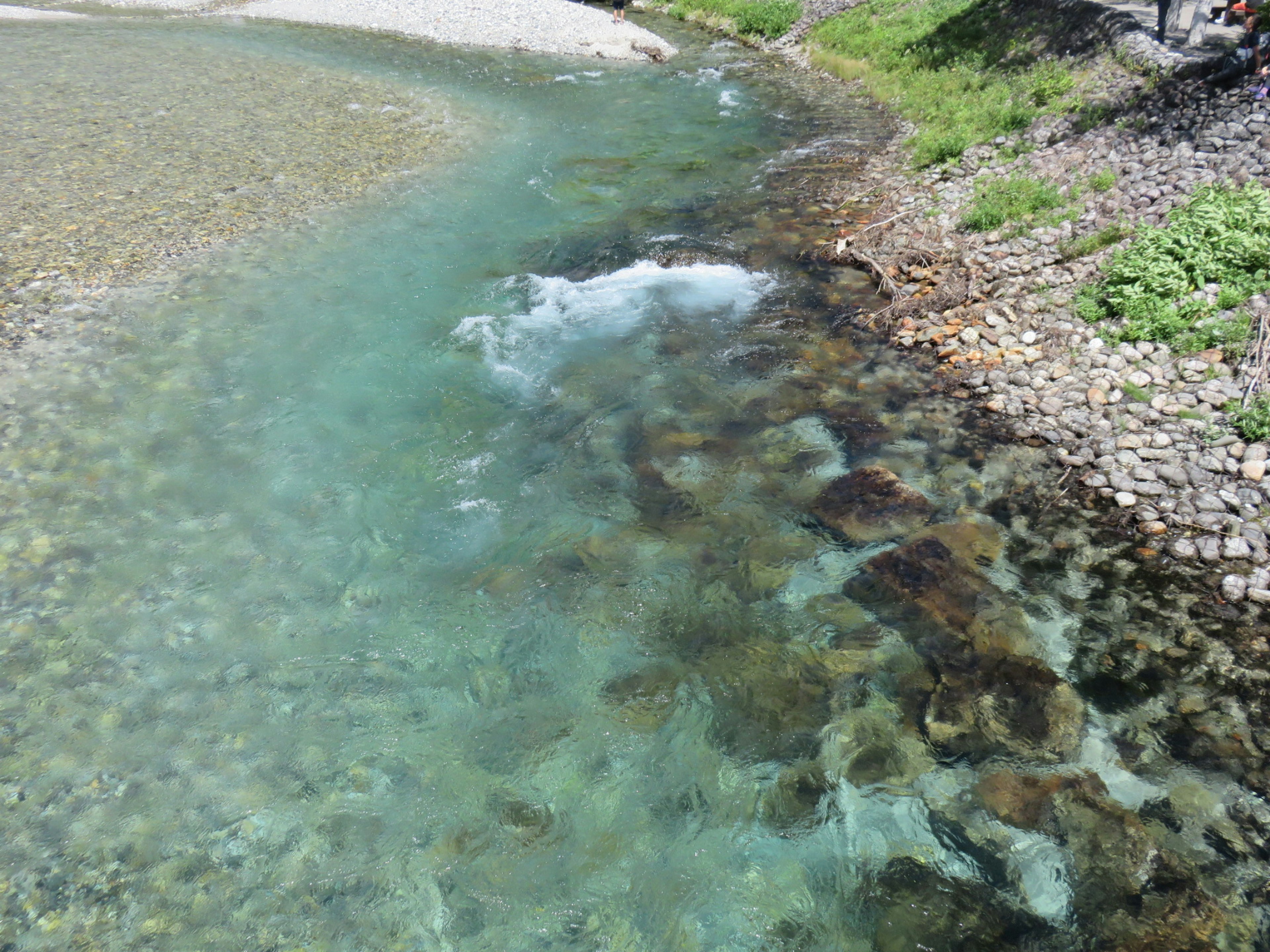 Una sección de un río claro con agua fluyendo rocas visibles y hierba verde