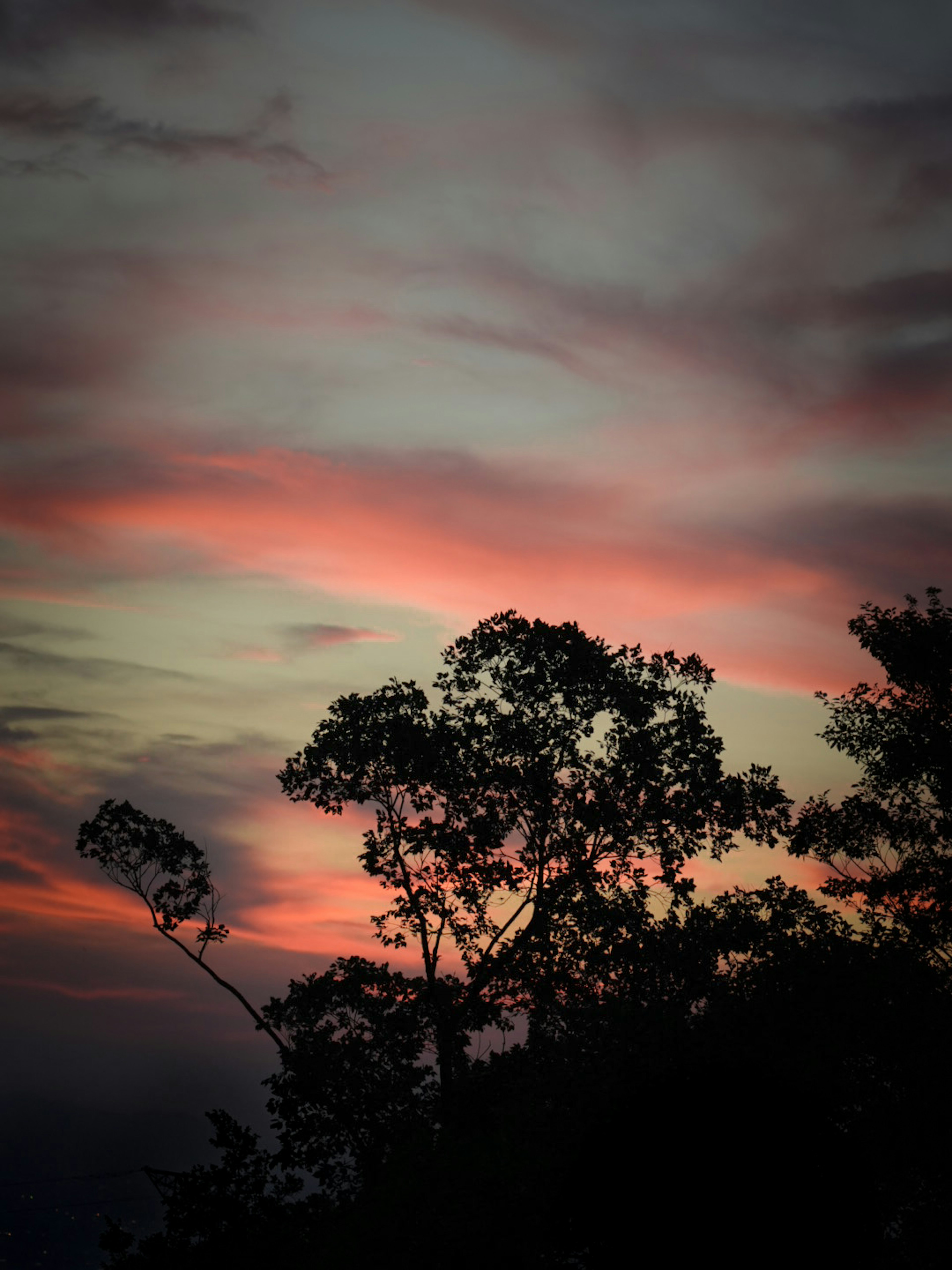 Silhouette di alberi contro un cielo di tramonto colorato