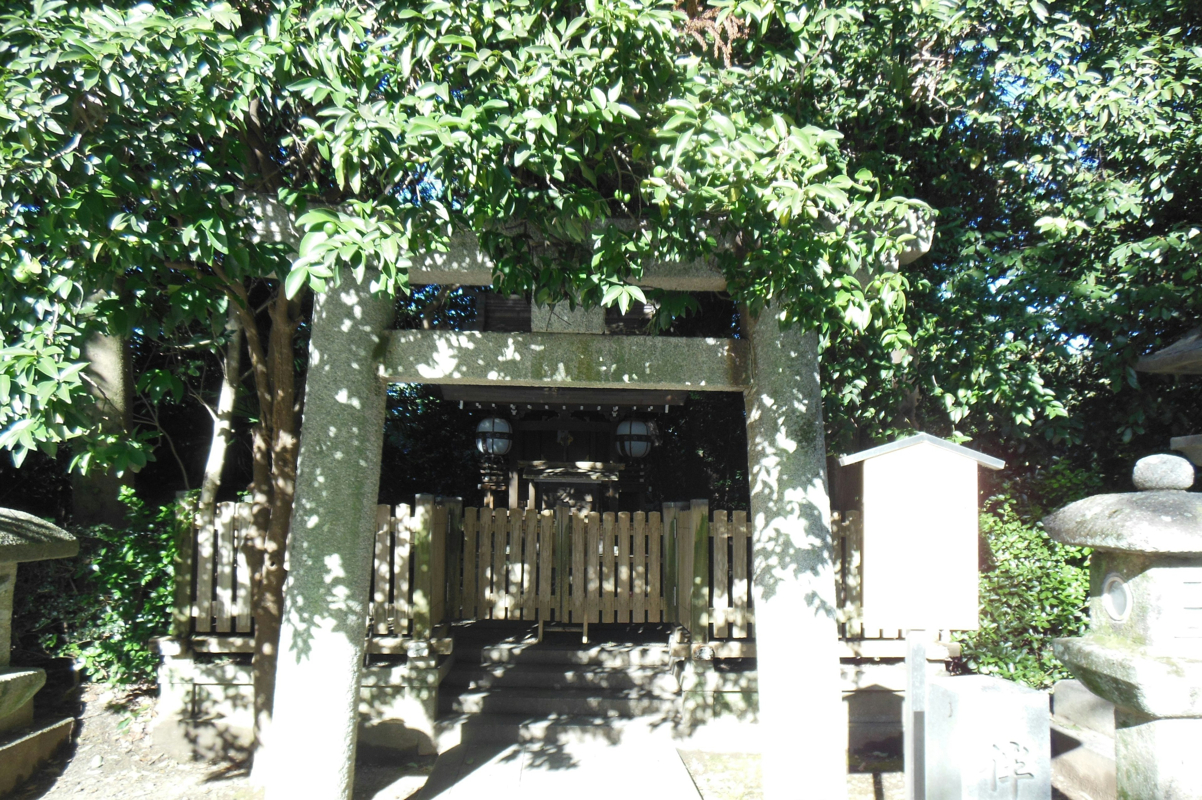 A serene view of a shrine gate surrounded by lush greenery