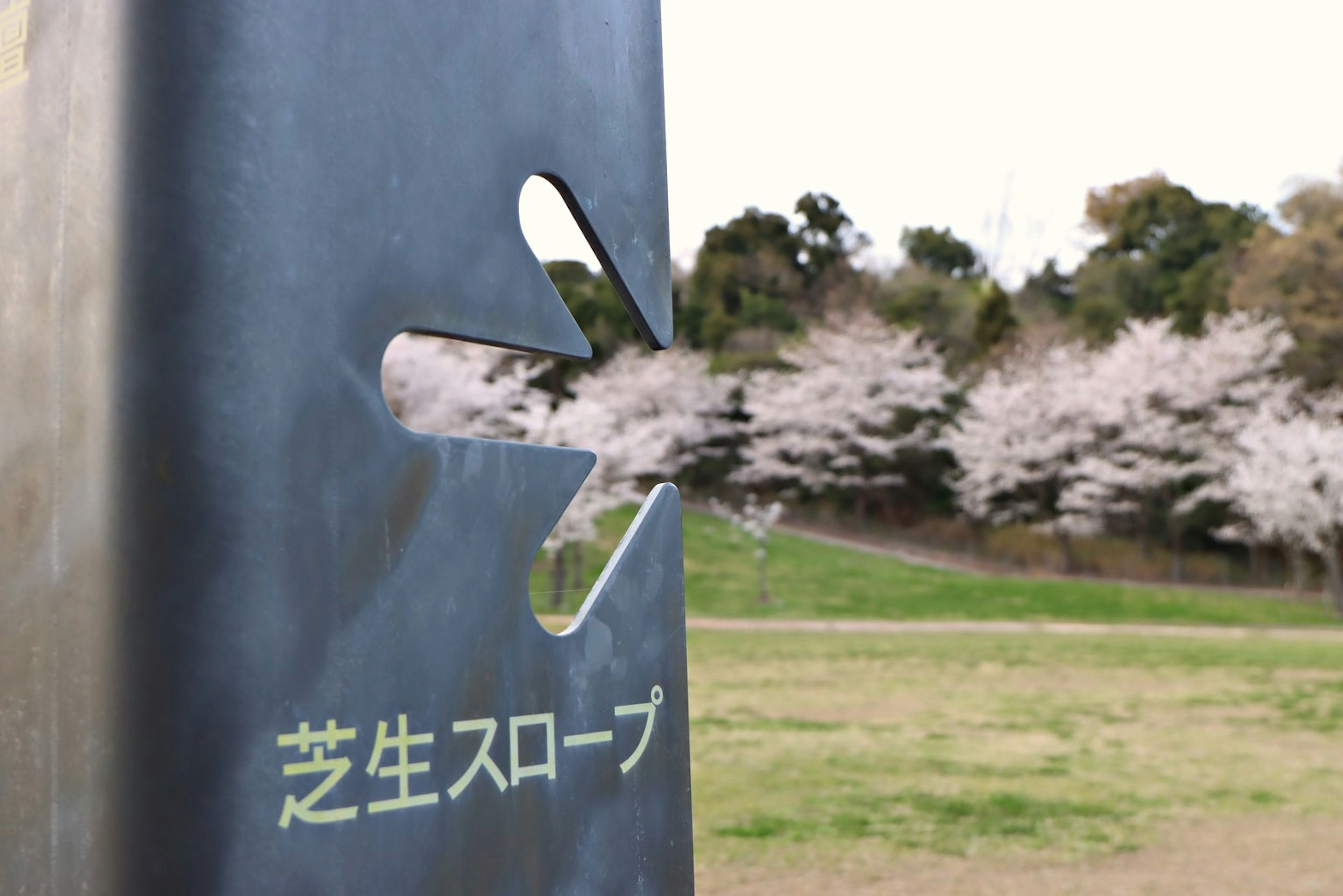 公園裡的金屬雕塑，背景是櫻花樹