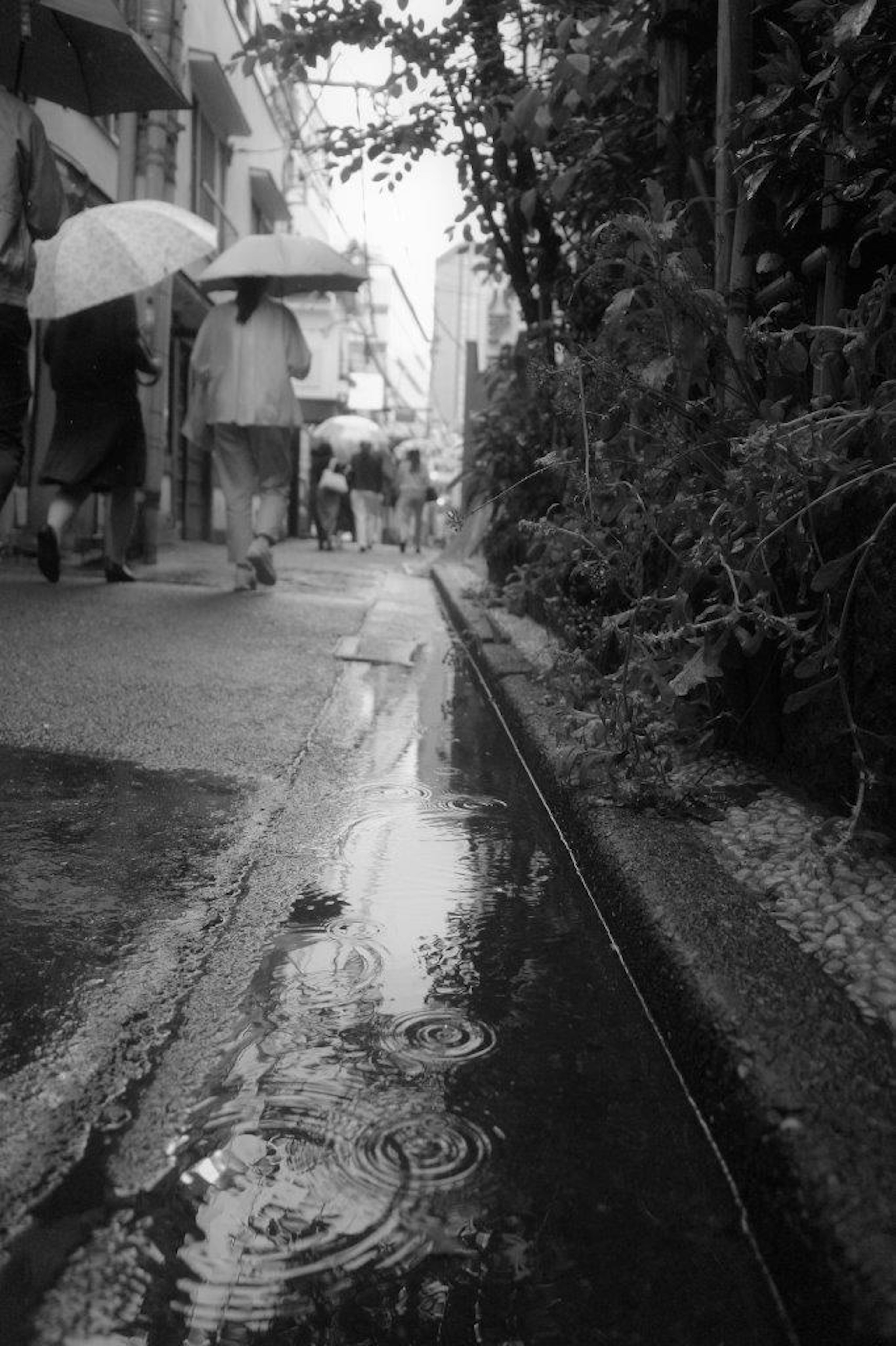 Photo en noir et blanc d'une rue étroite avec des gens marchant sous la pluie et des flaques d'eau