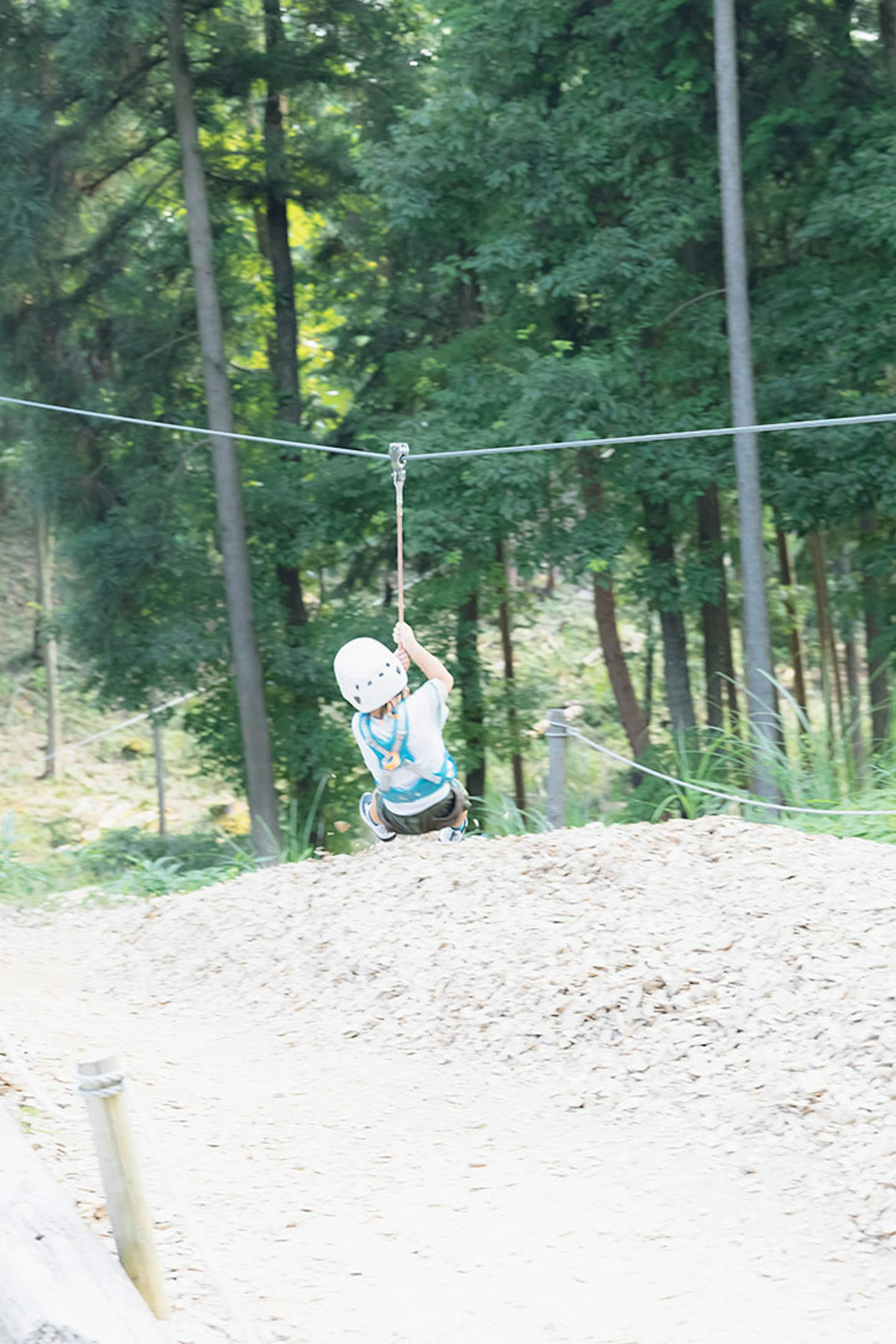 Kind, das an einer Zipline zwischen Bäumen fährt