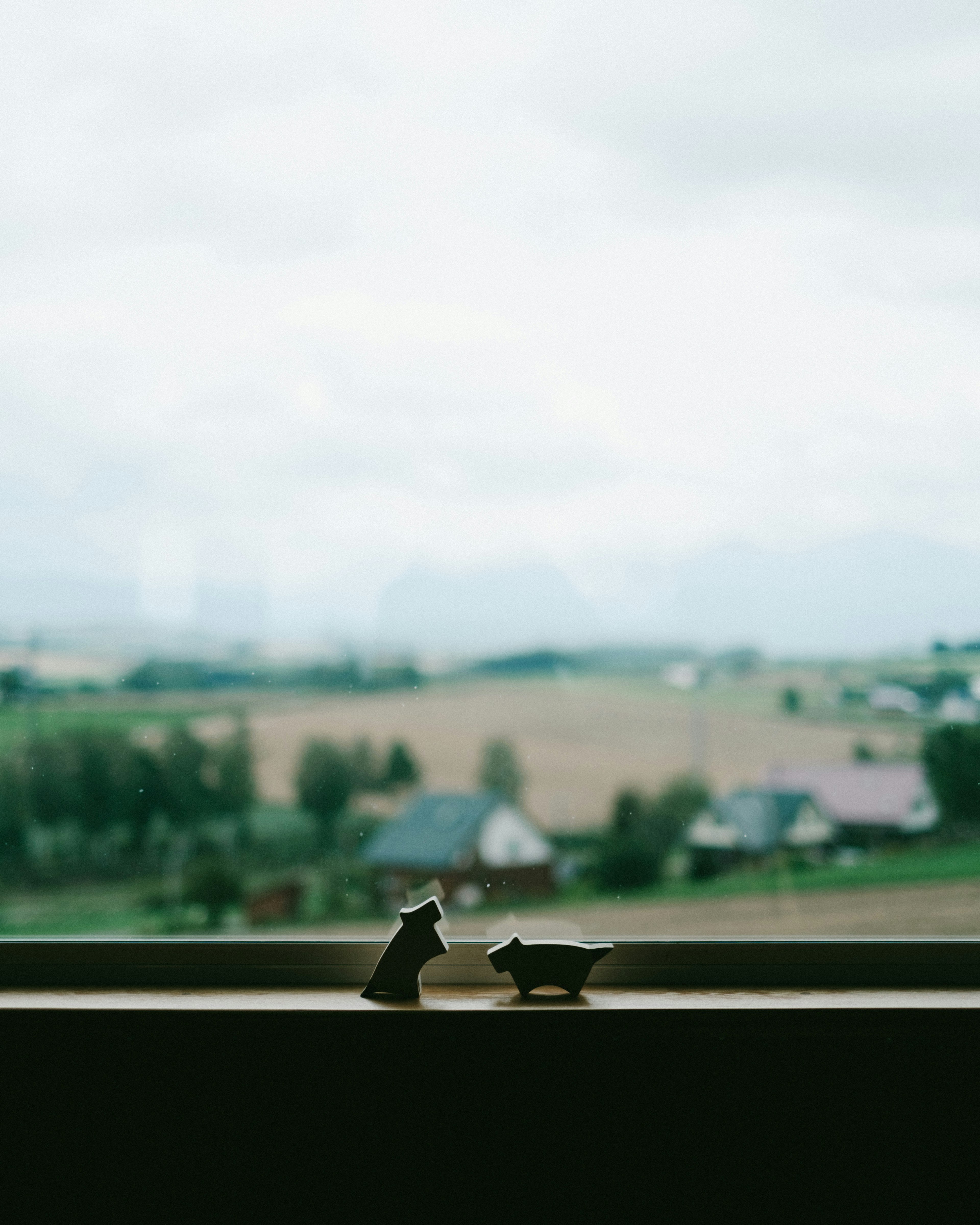 Silhouette di figurine di cane e gatto su un davanzale con sfondo di campagna