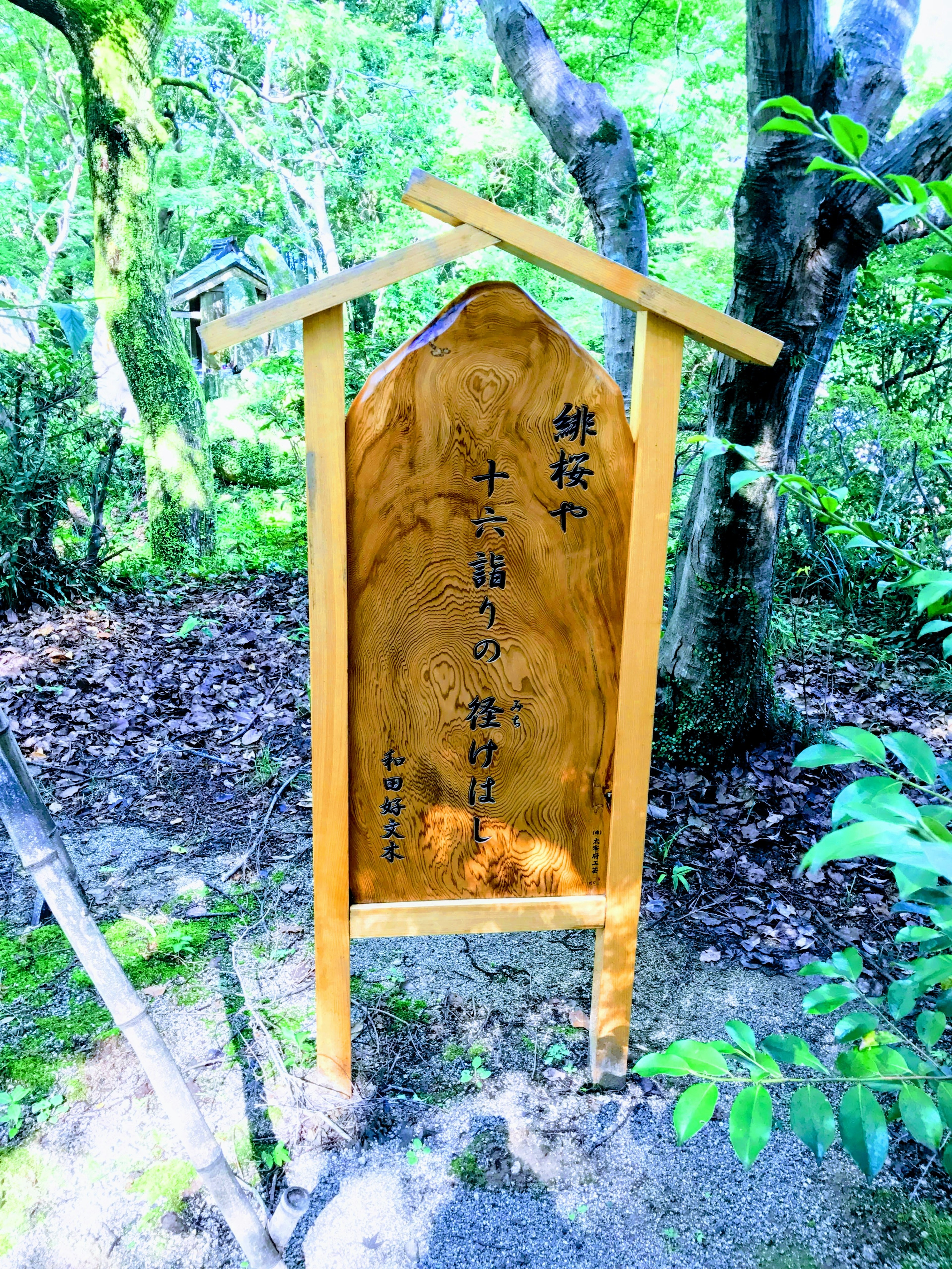 木製の看板が緑豊かな背景に立っている