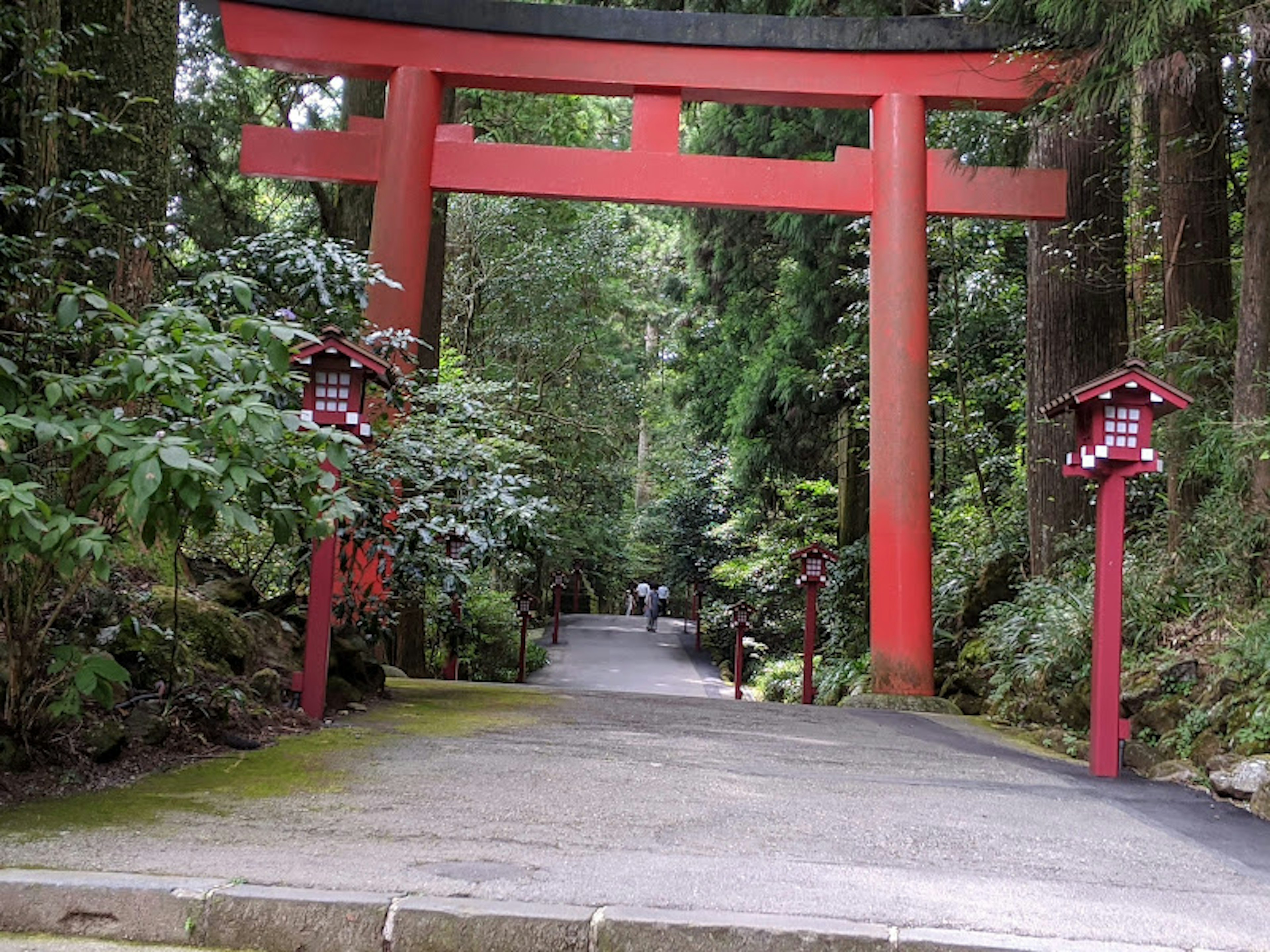 Gerbang torii merah dikelilingi oleh pepohonan hijau yang rimbun menuju jalan yang tenang