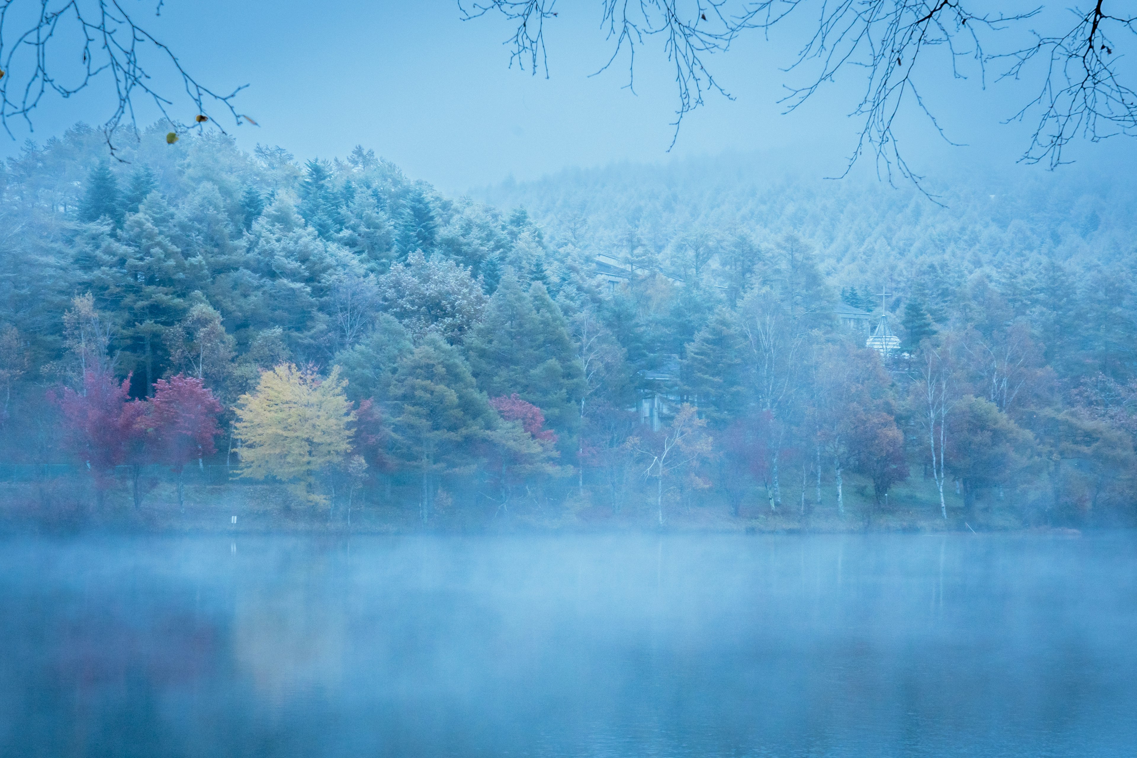 霧に包まれた湖の風景 色とりどりの木々が並ぶ