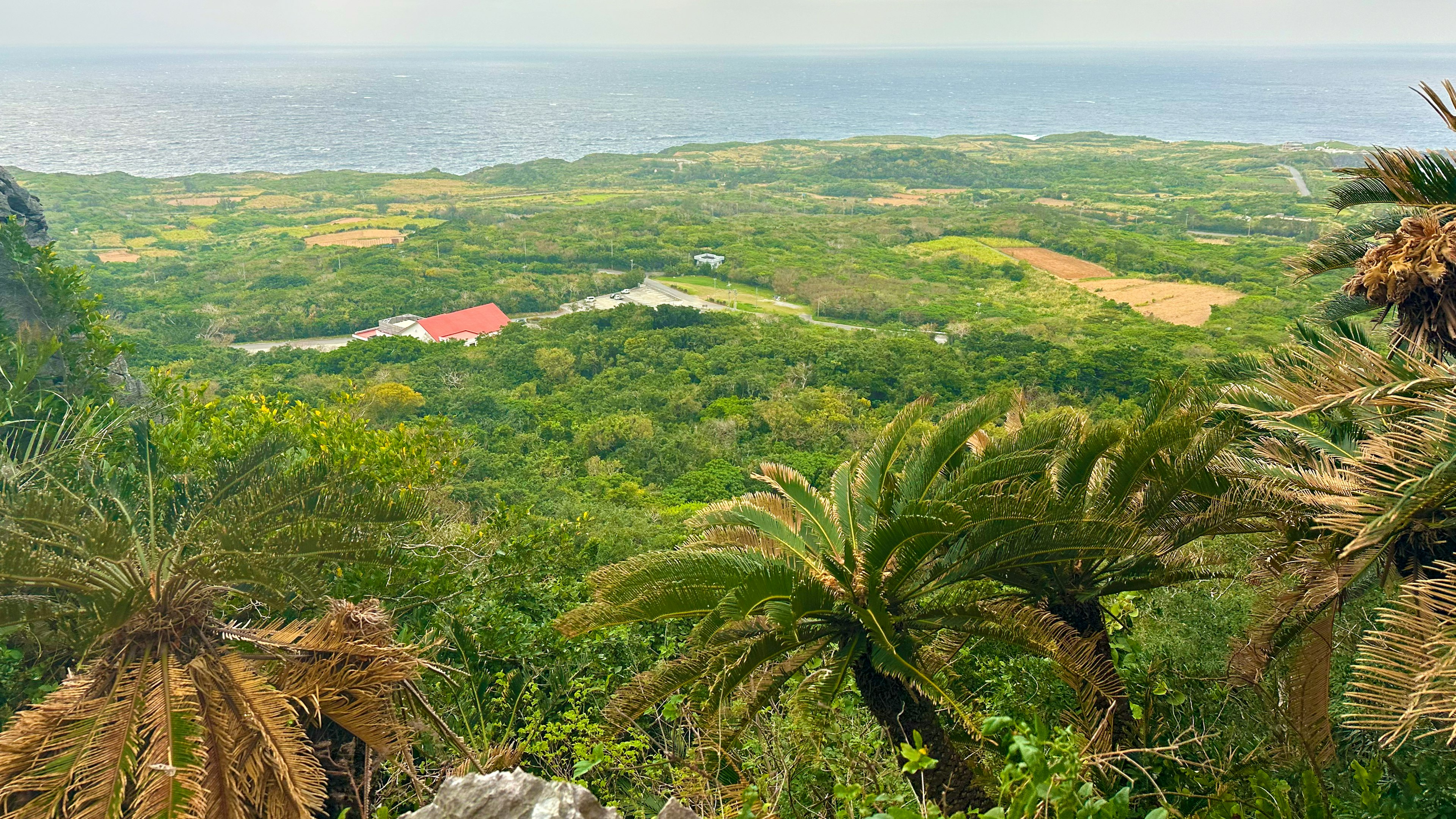 Pemandangan panorama hijau subur dan lautan dengan rumah atap merah