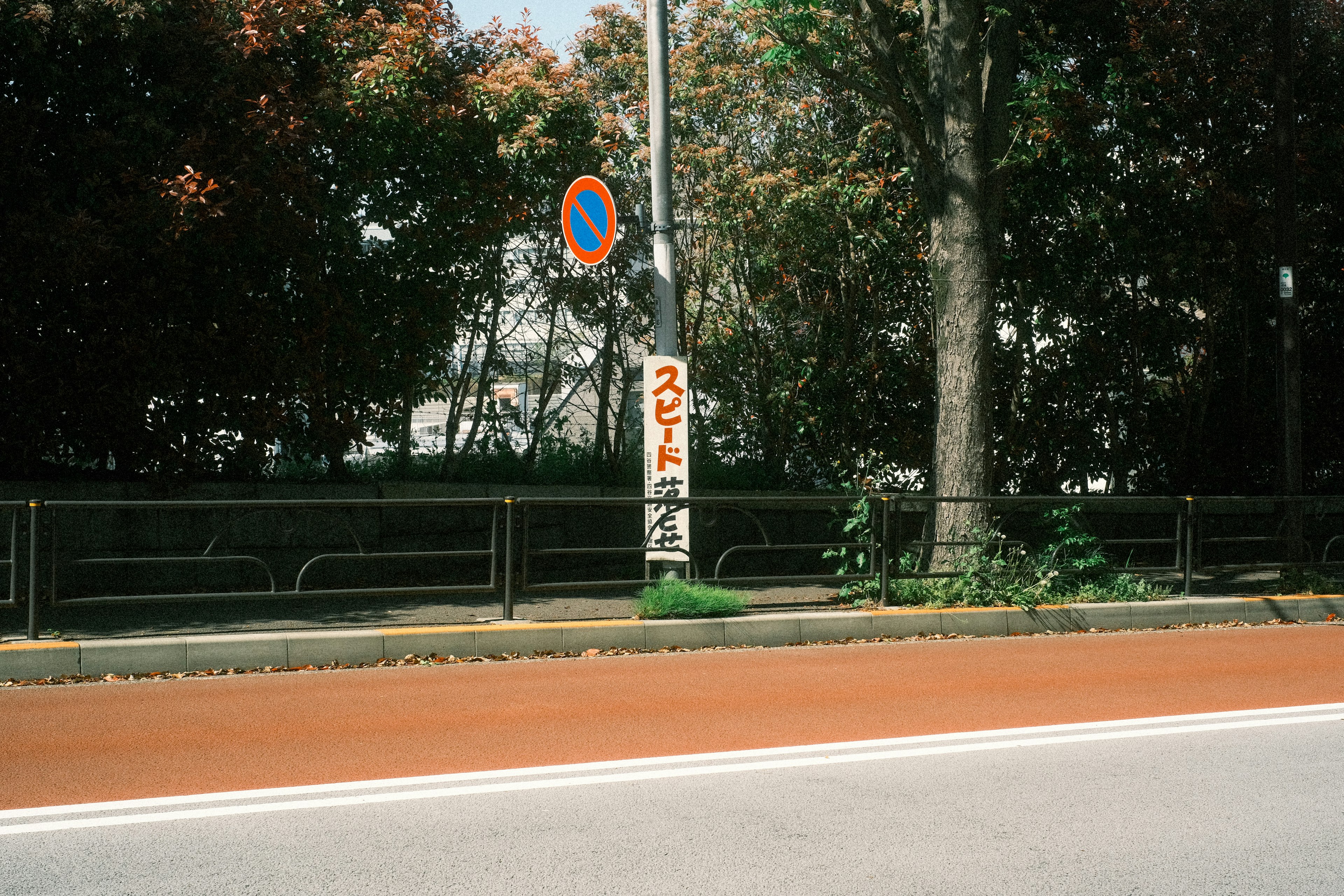 道路沿いに立つ標識と緑の木々の背景