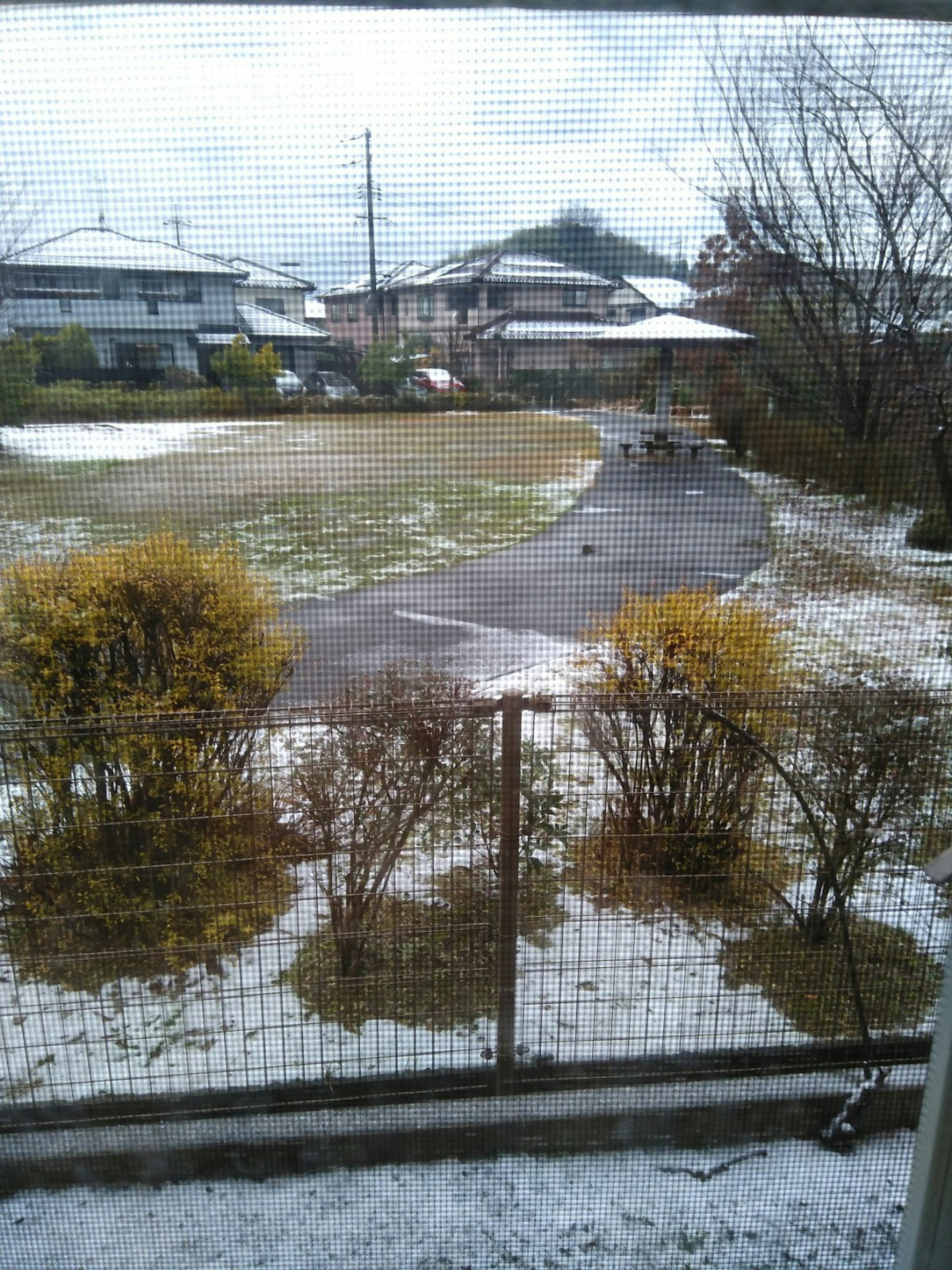 雪が少し残る庭の風景と住宅