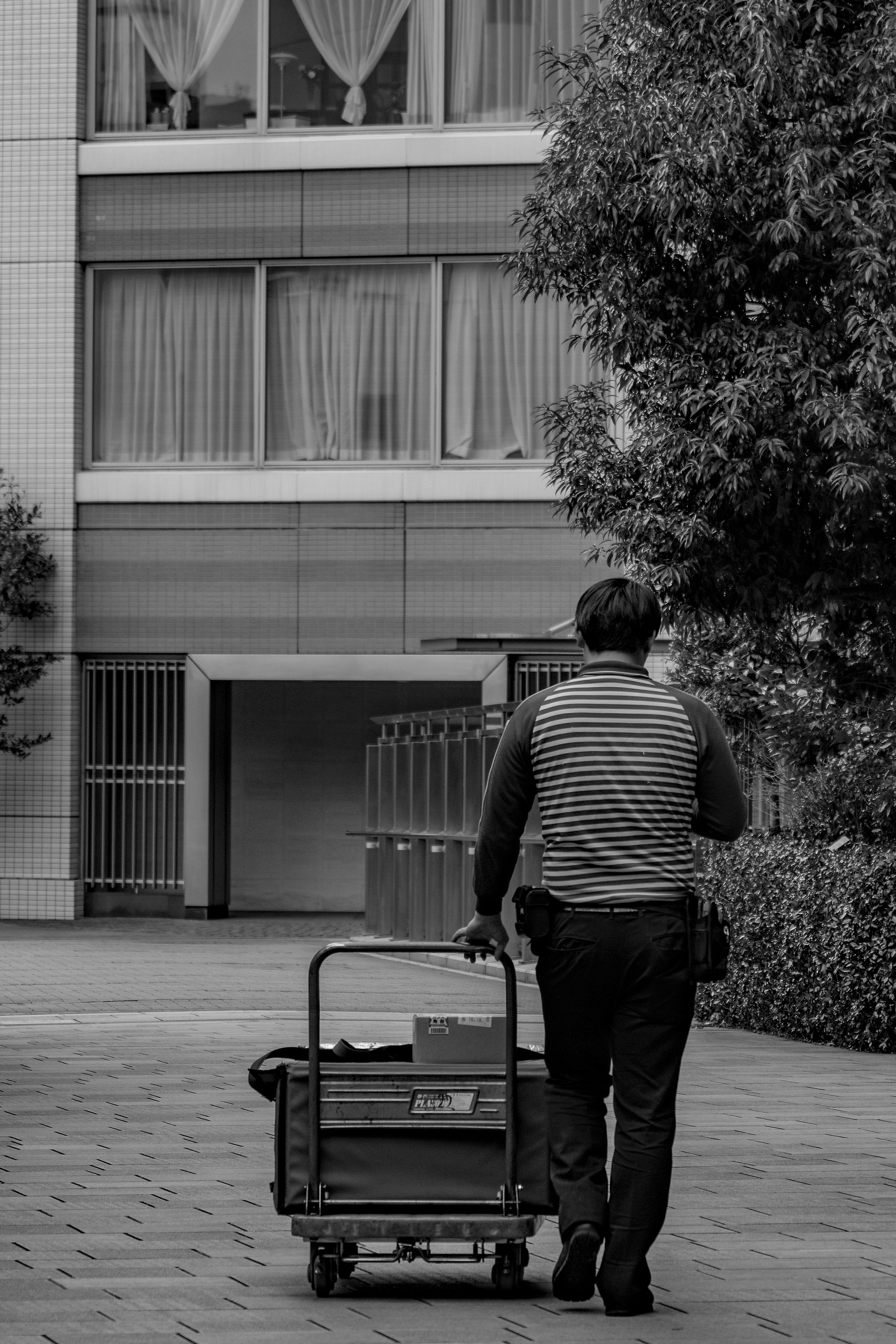 Imagen en blanco y negro de un hombre con camisa a rayas tirando de un carrito