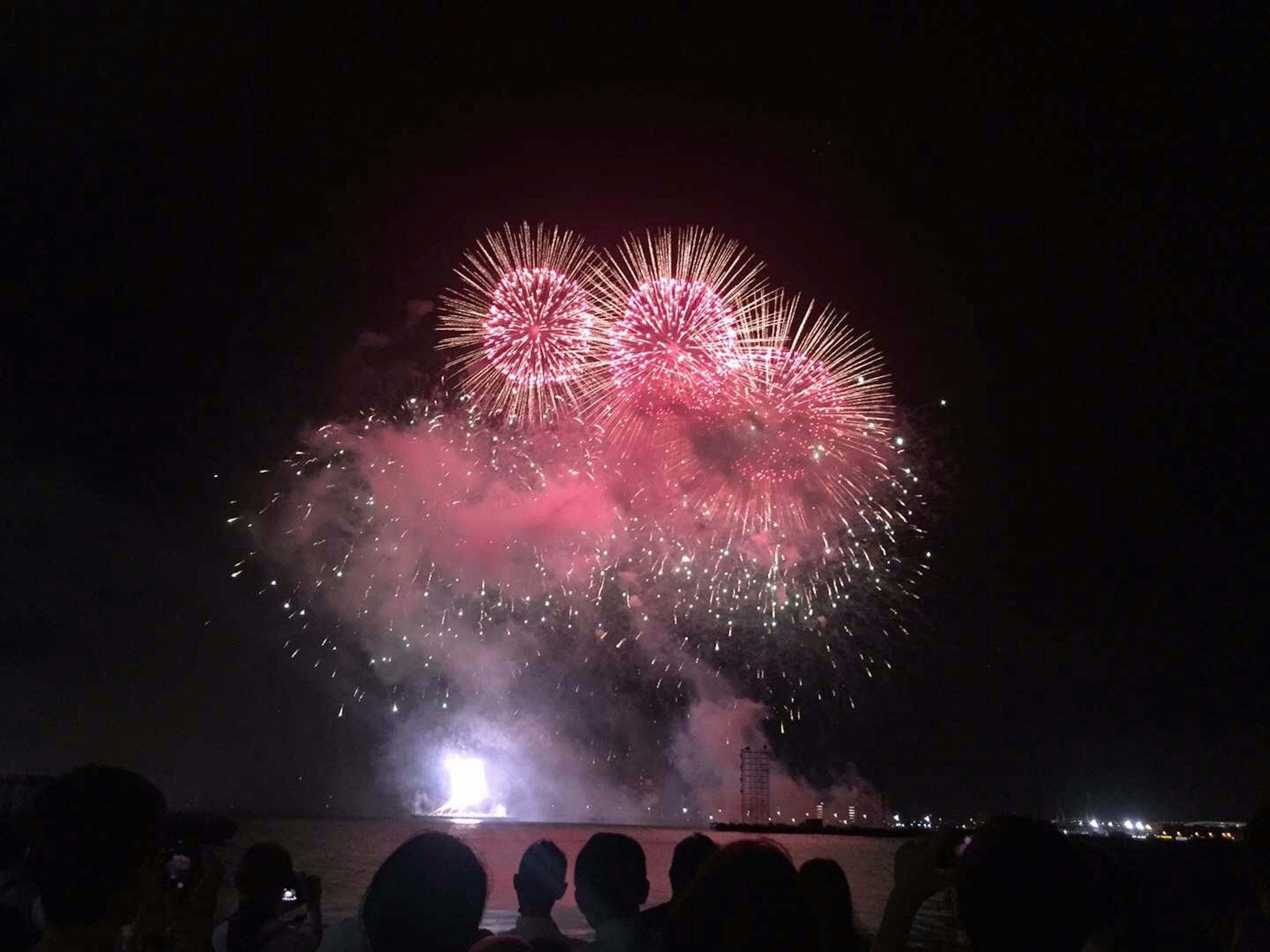 Colorful pink fireworks bursting in the night sky