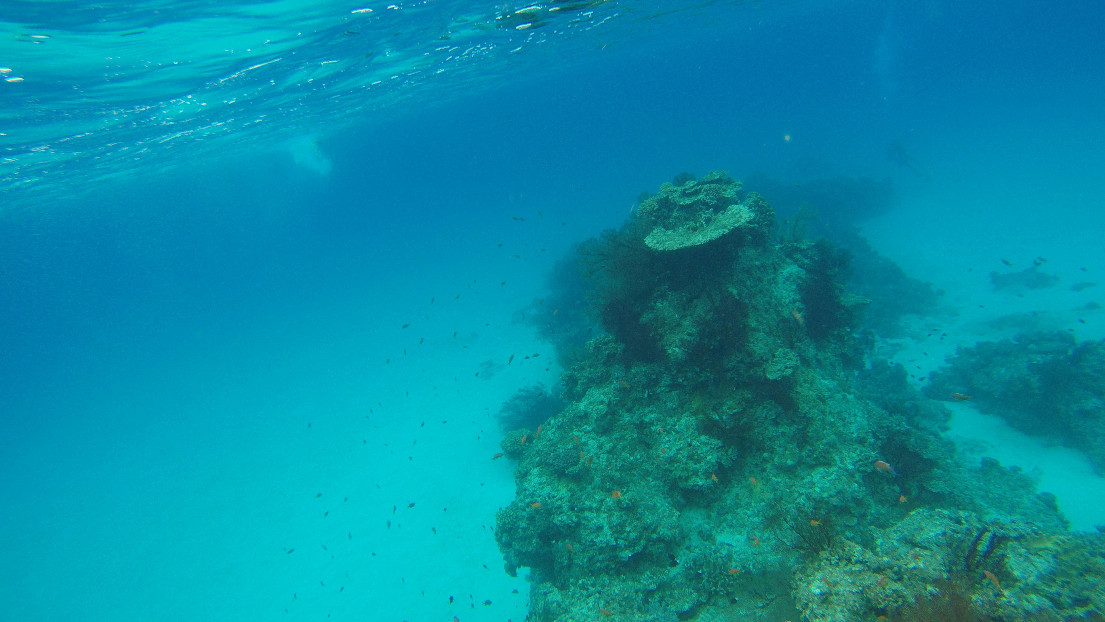 Underwater scene featuring a rocky reef and vibrant blue water