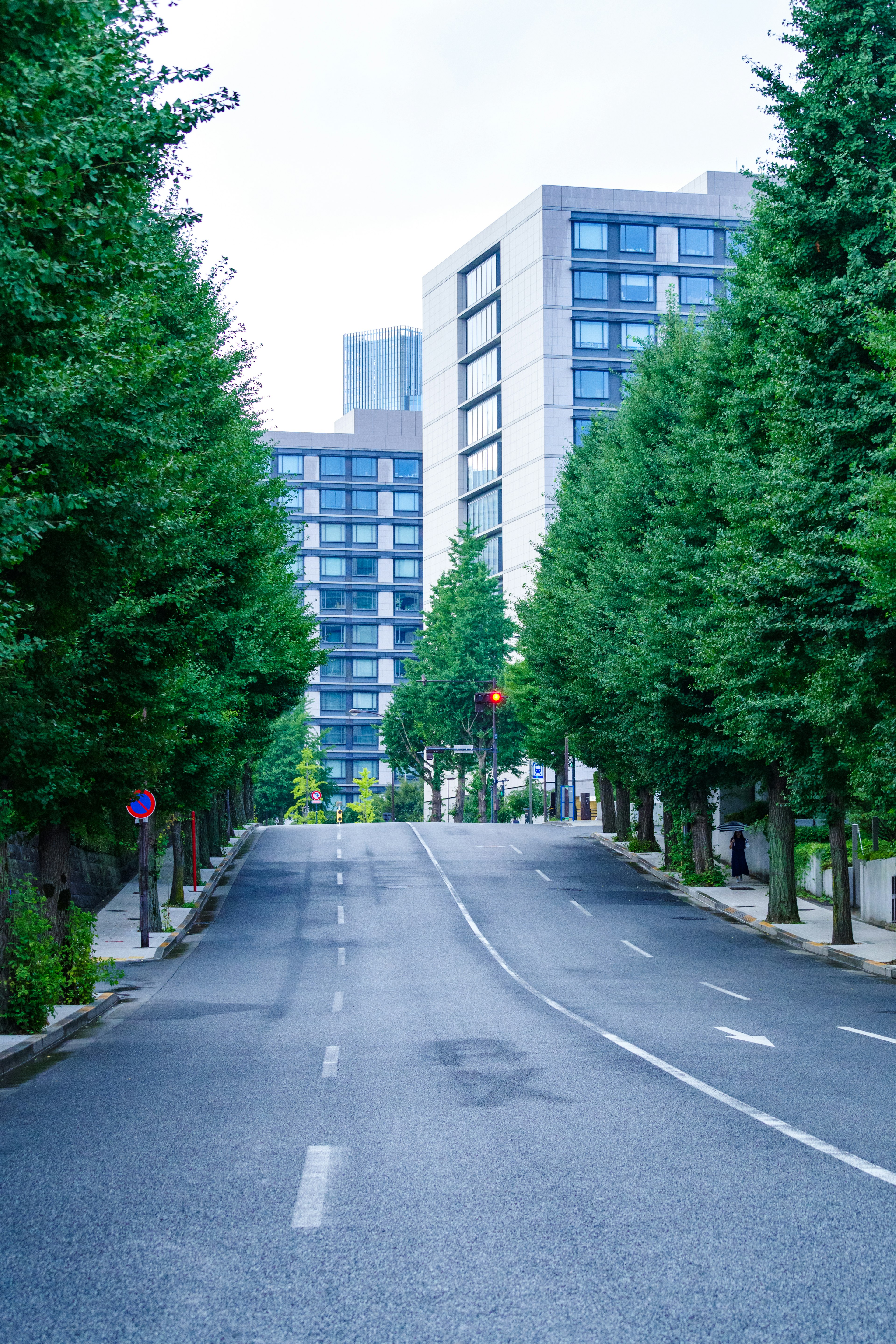 Quiet street lined with green trees and modern buildings