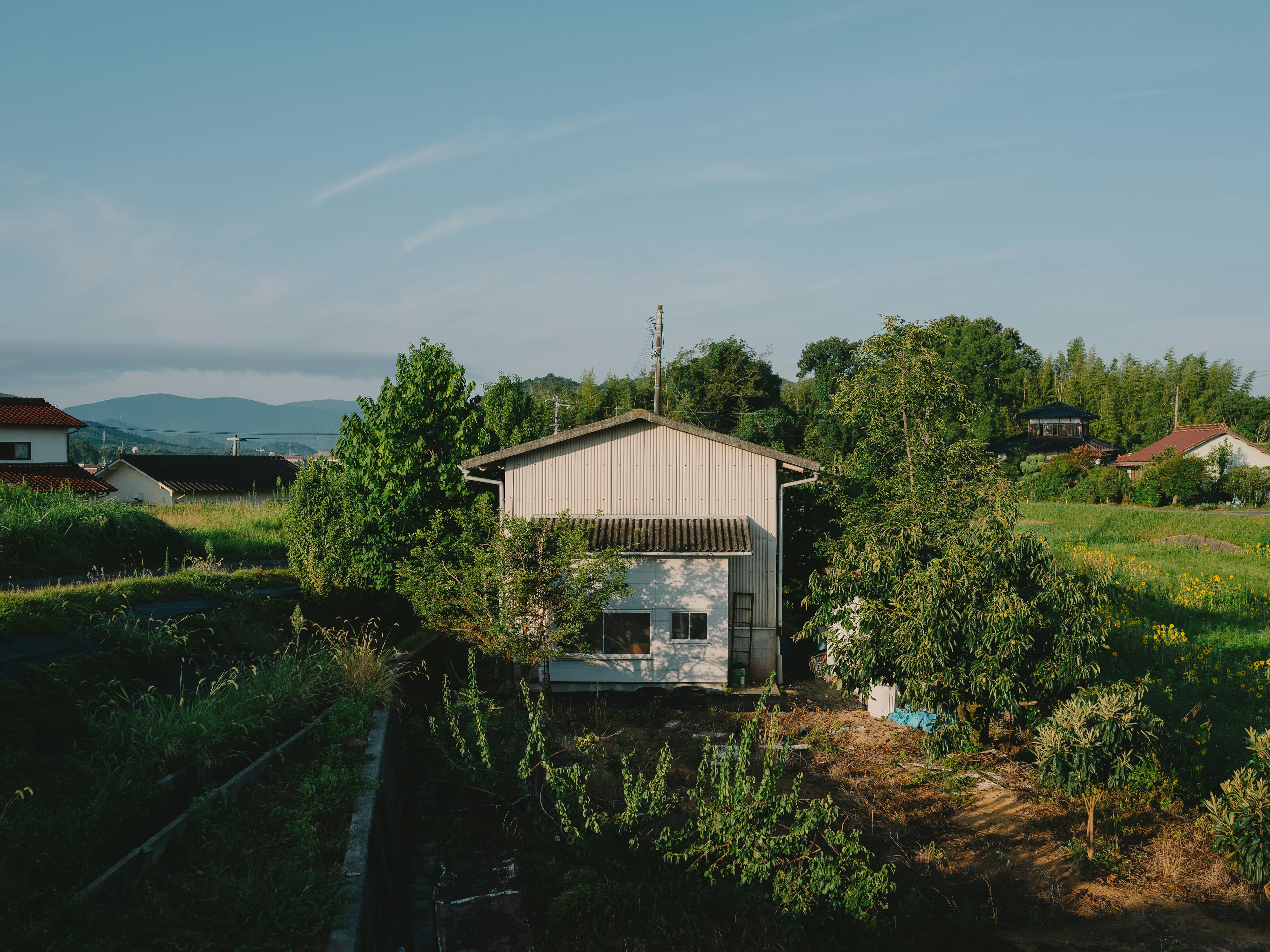 Une maison simple entourée de verdure et d'un jardin