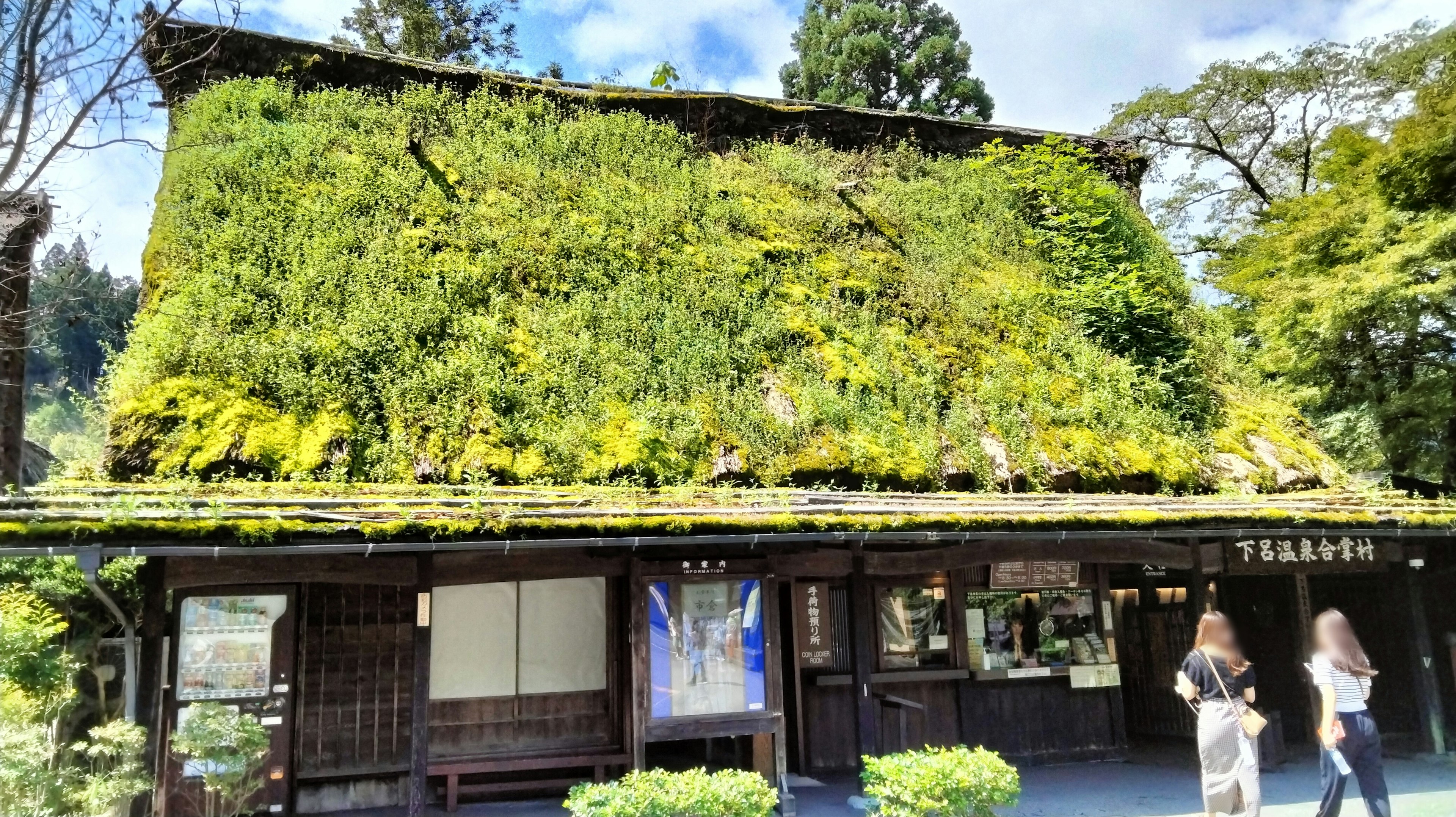 被綠色苔蘚覆蓋的傳統日本建築與藍天