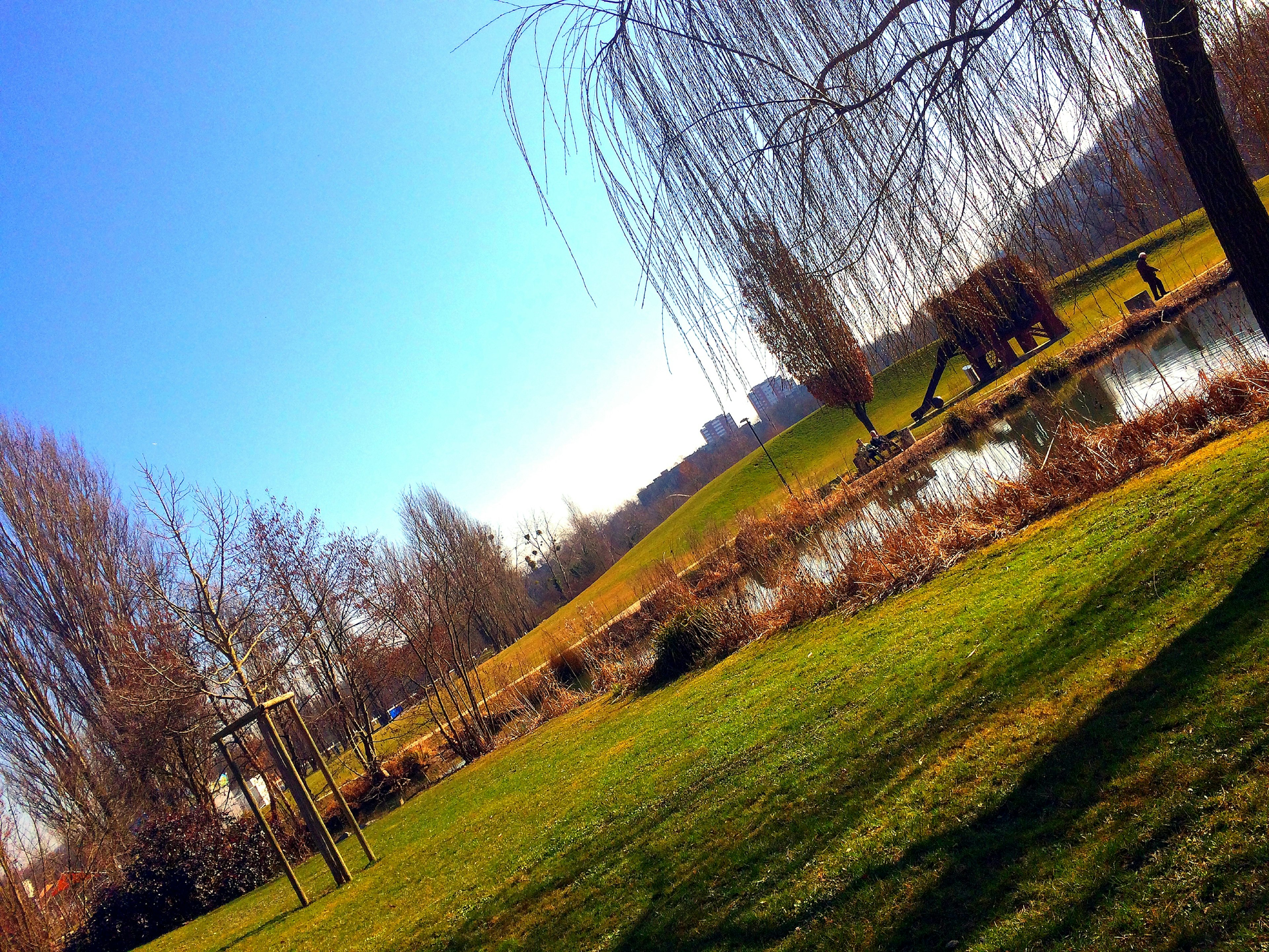 Serene park landscape with green grass and a pond under a clear blue sky