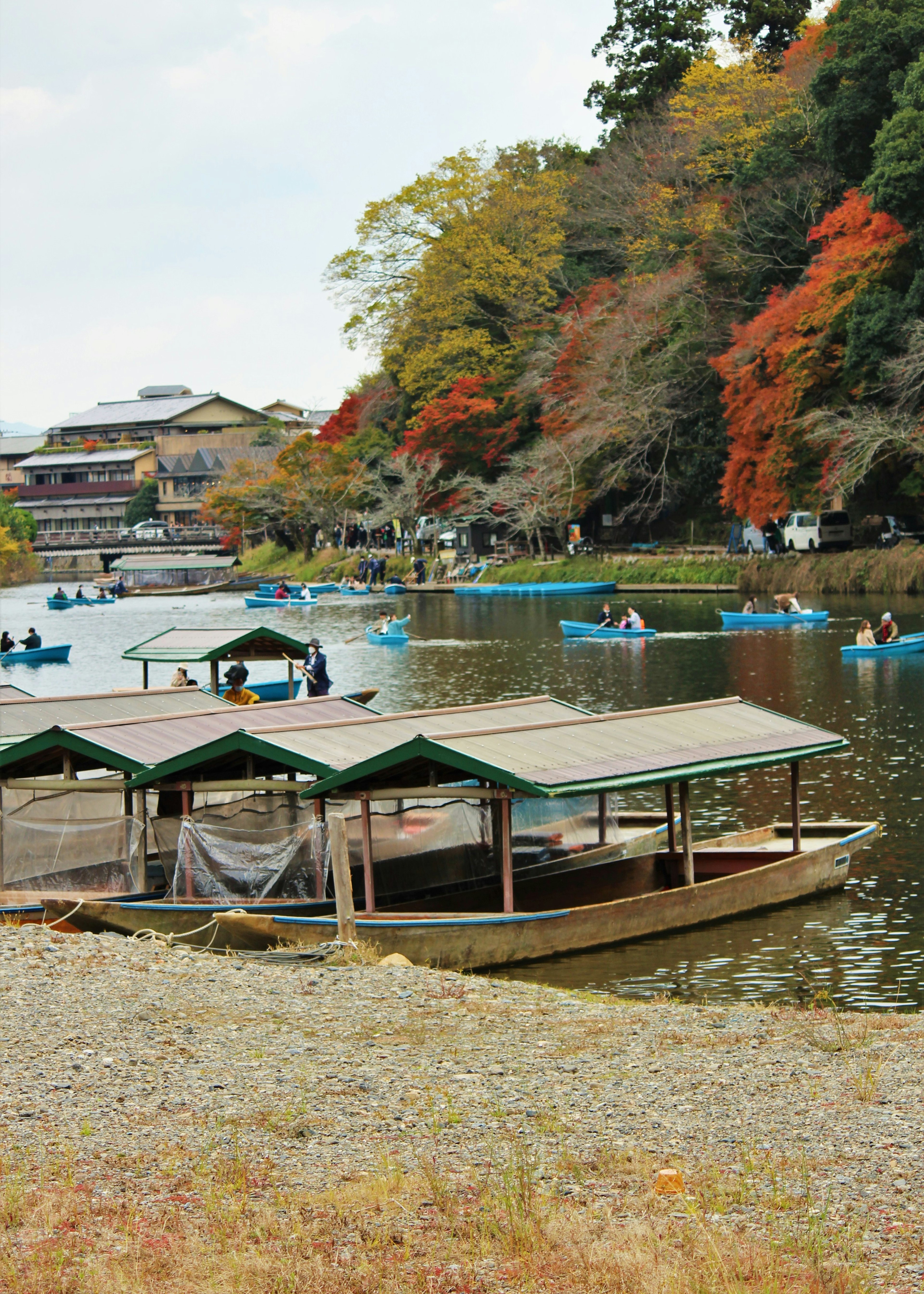 秋天树叶和船只环绕的河流风景