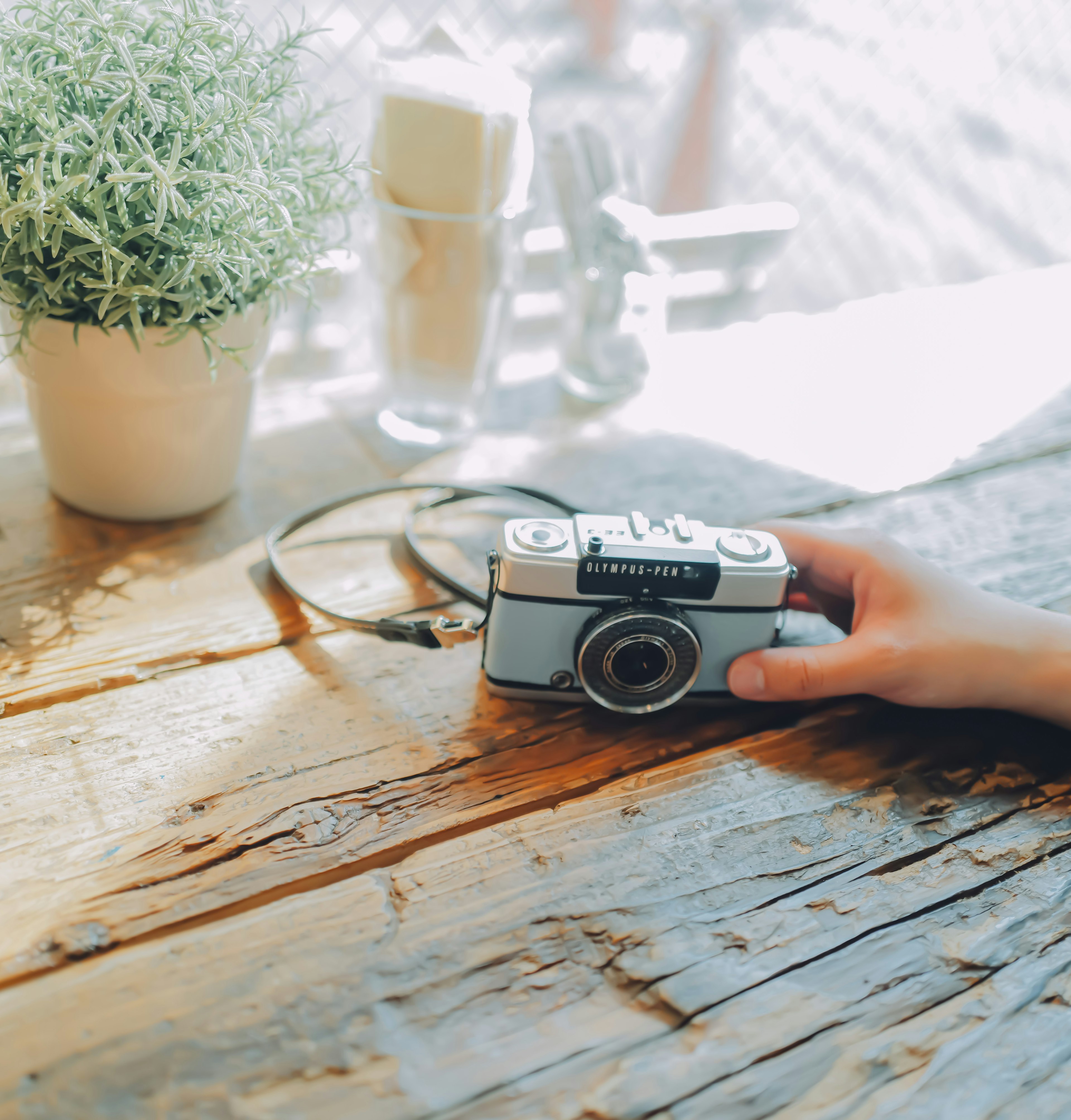 A retro camera on a wooden table with a small potted plant