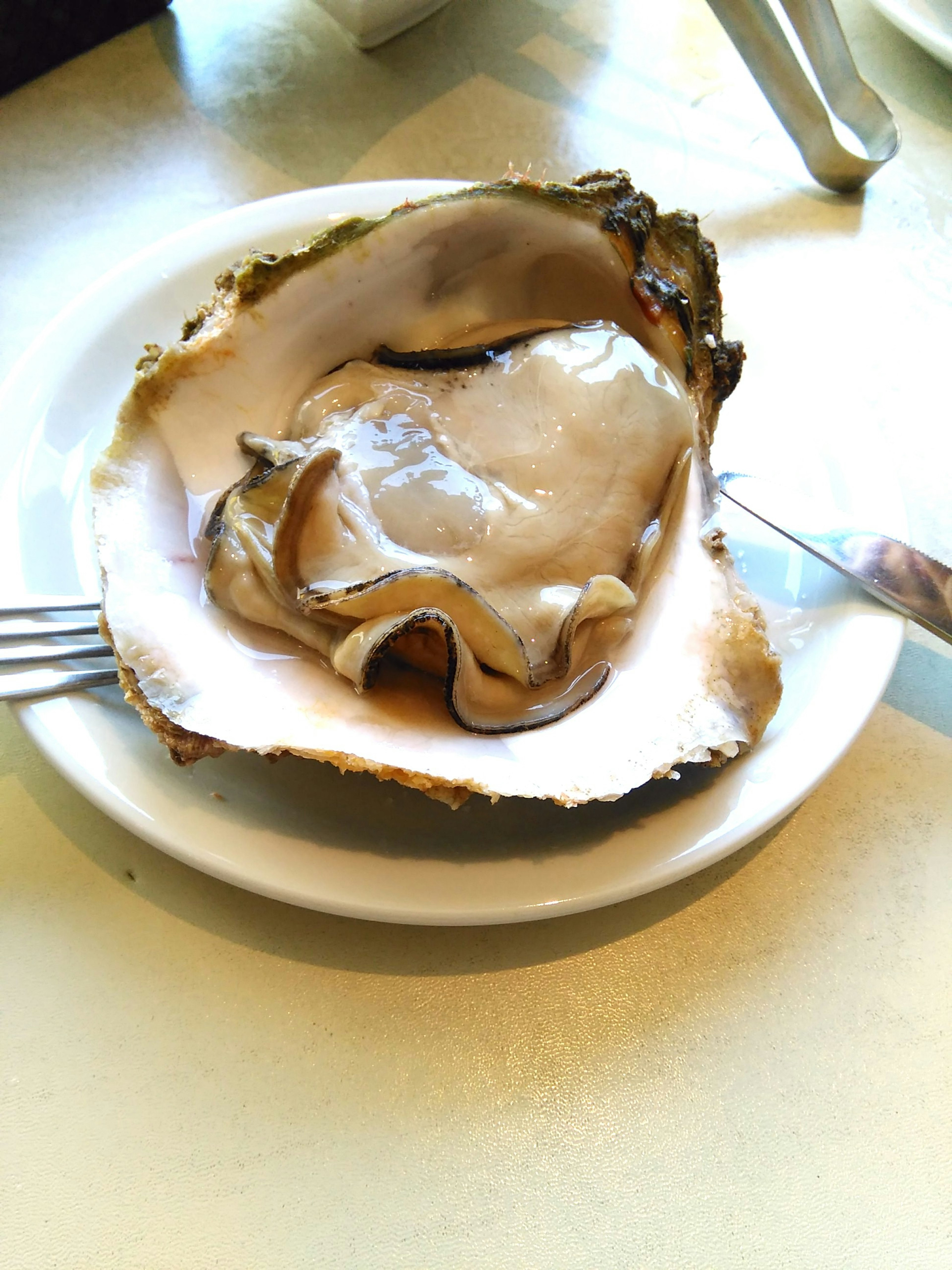 Raw oyster served on a plate