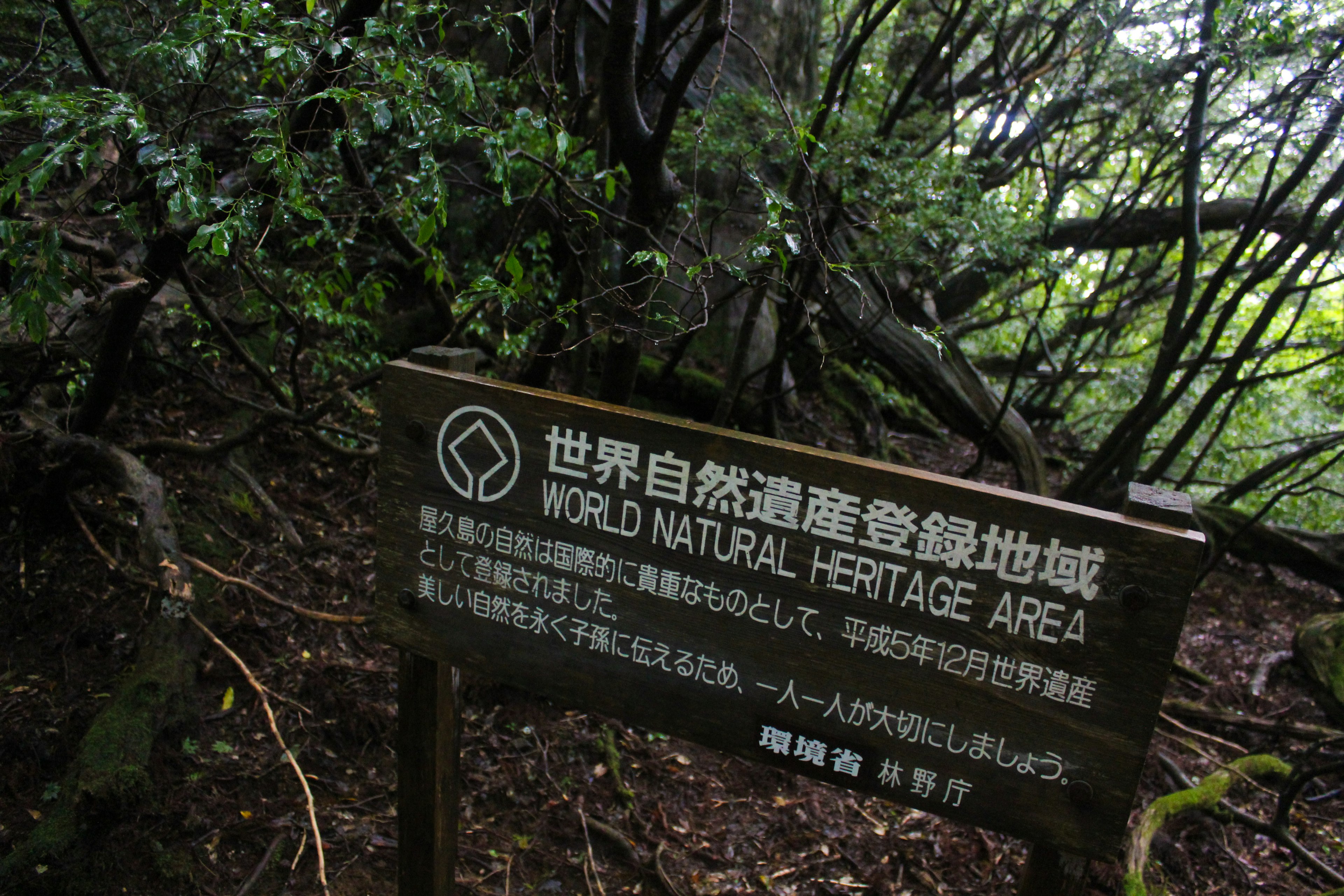 Escena de bosque con un cartel que indica el área de patrimonio natural mundial