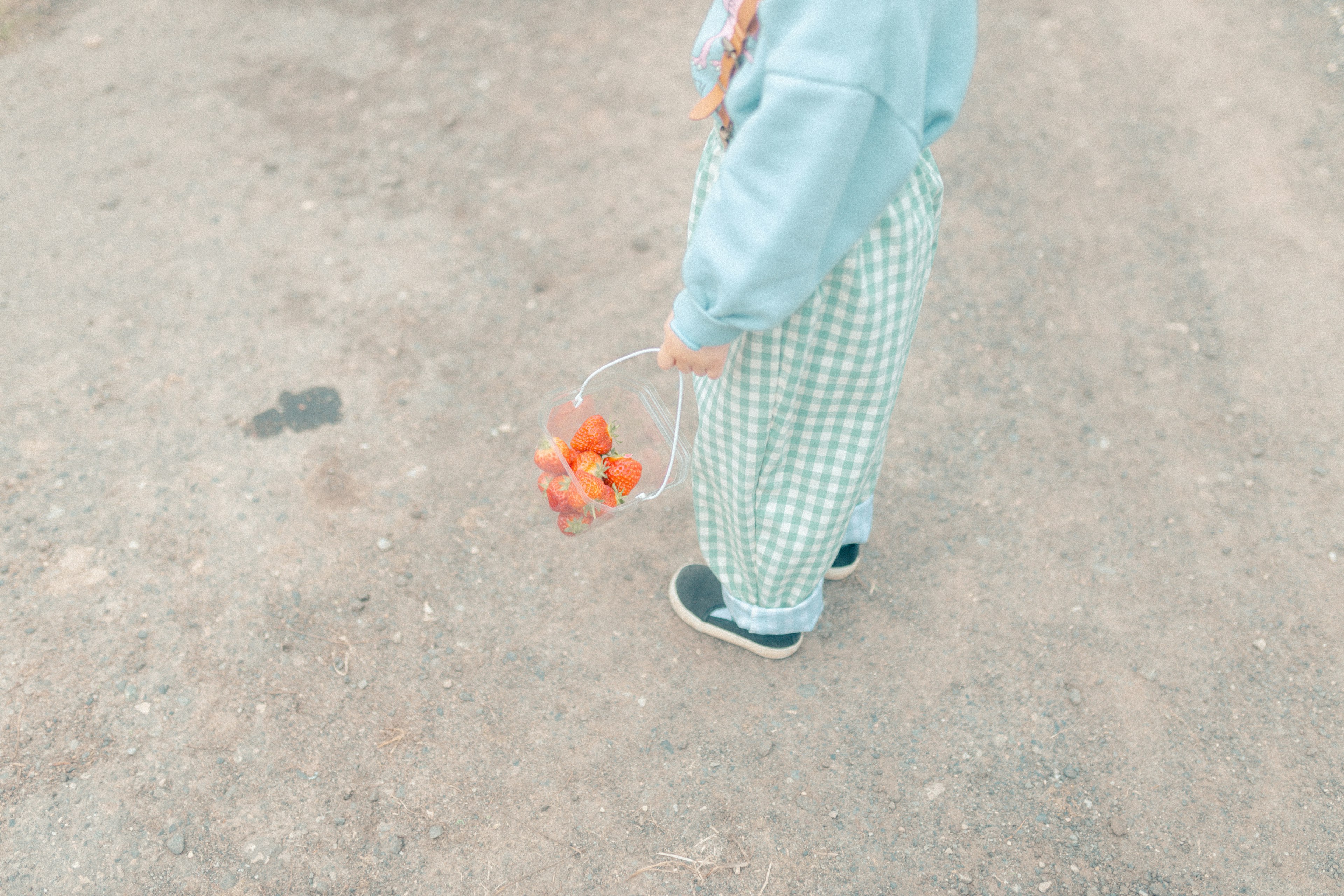 Seorang anak memegang keranjang transparan yang penuh dengan buah oranye