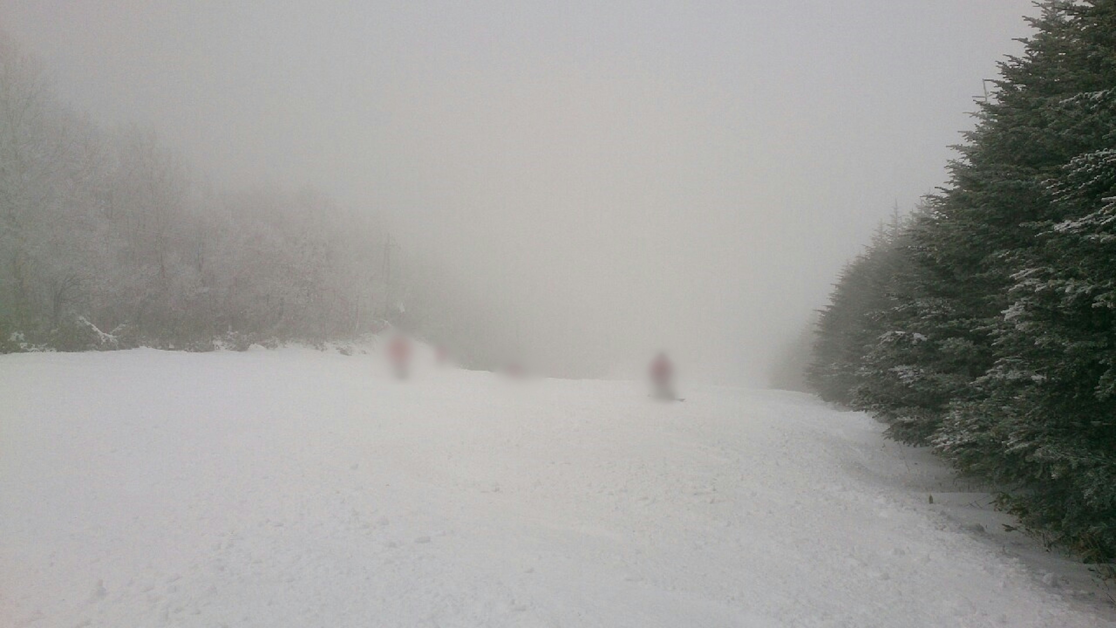 Stazione sciistica nella nebbia con alberi coperti di neve e sciatori