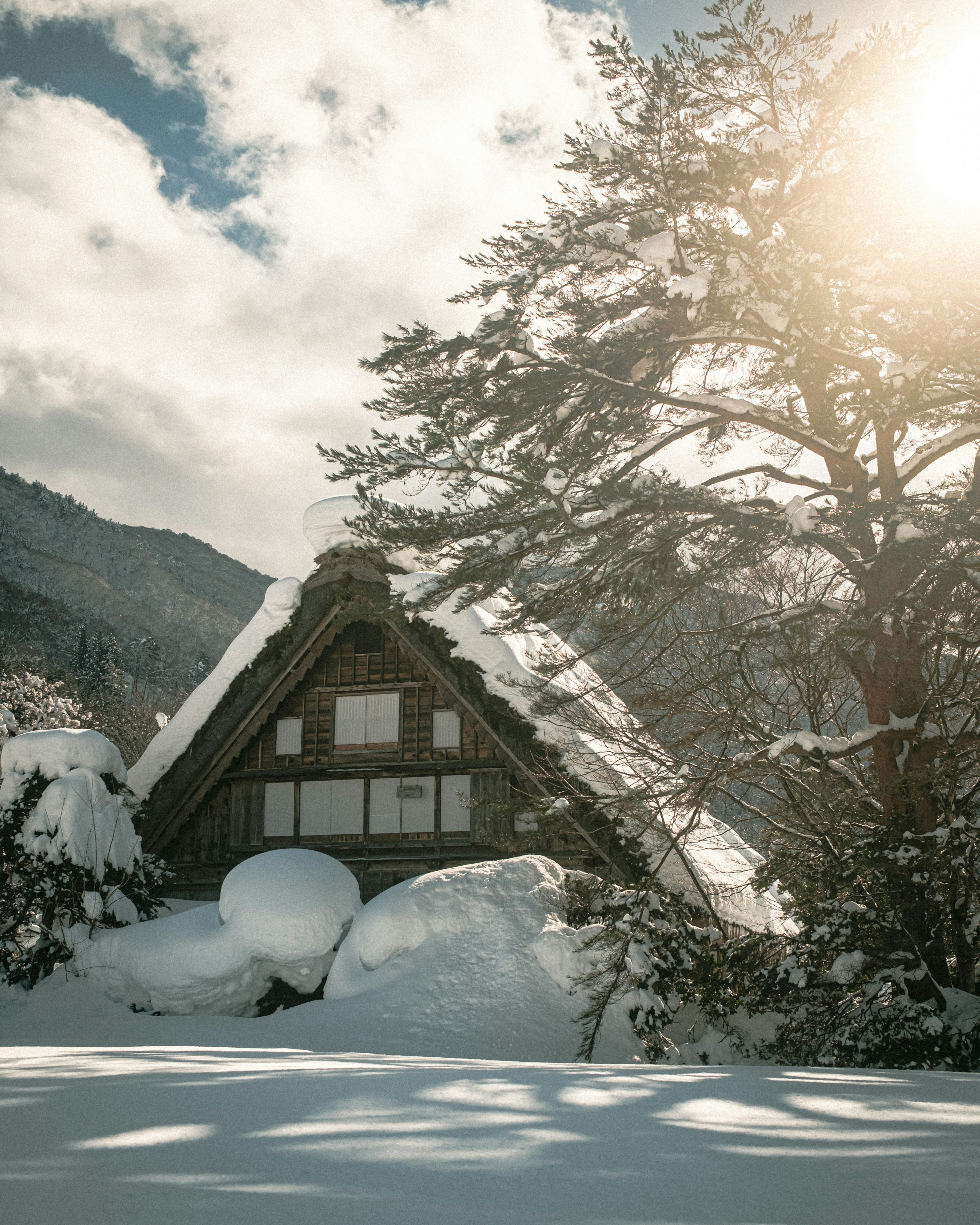 雪に覆われた伝統的な合掌造りの家と周囲の木々