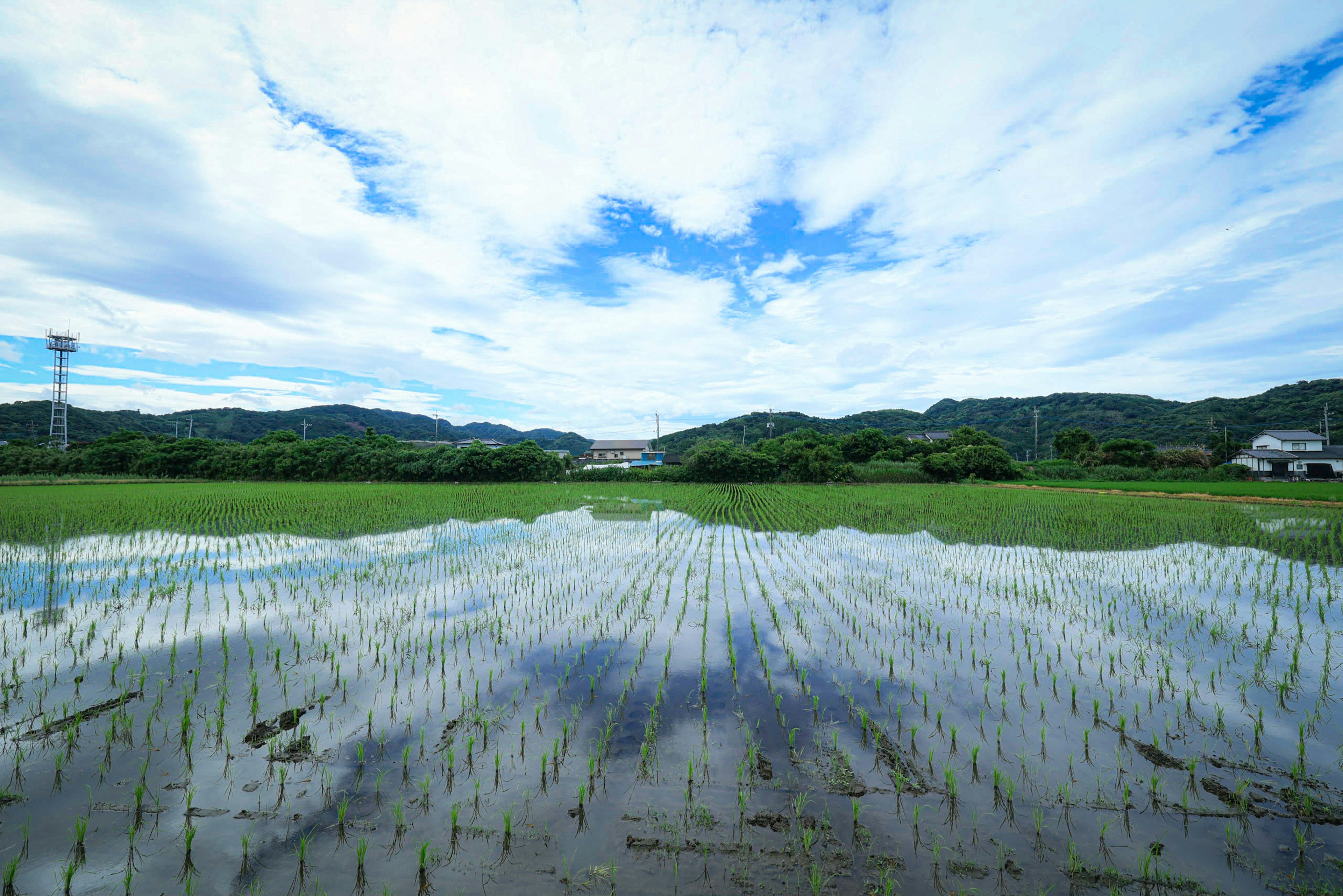 青空と白い雲が広がる田んぼの風景 水田に映る空と山々