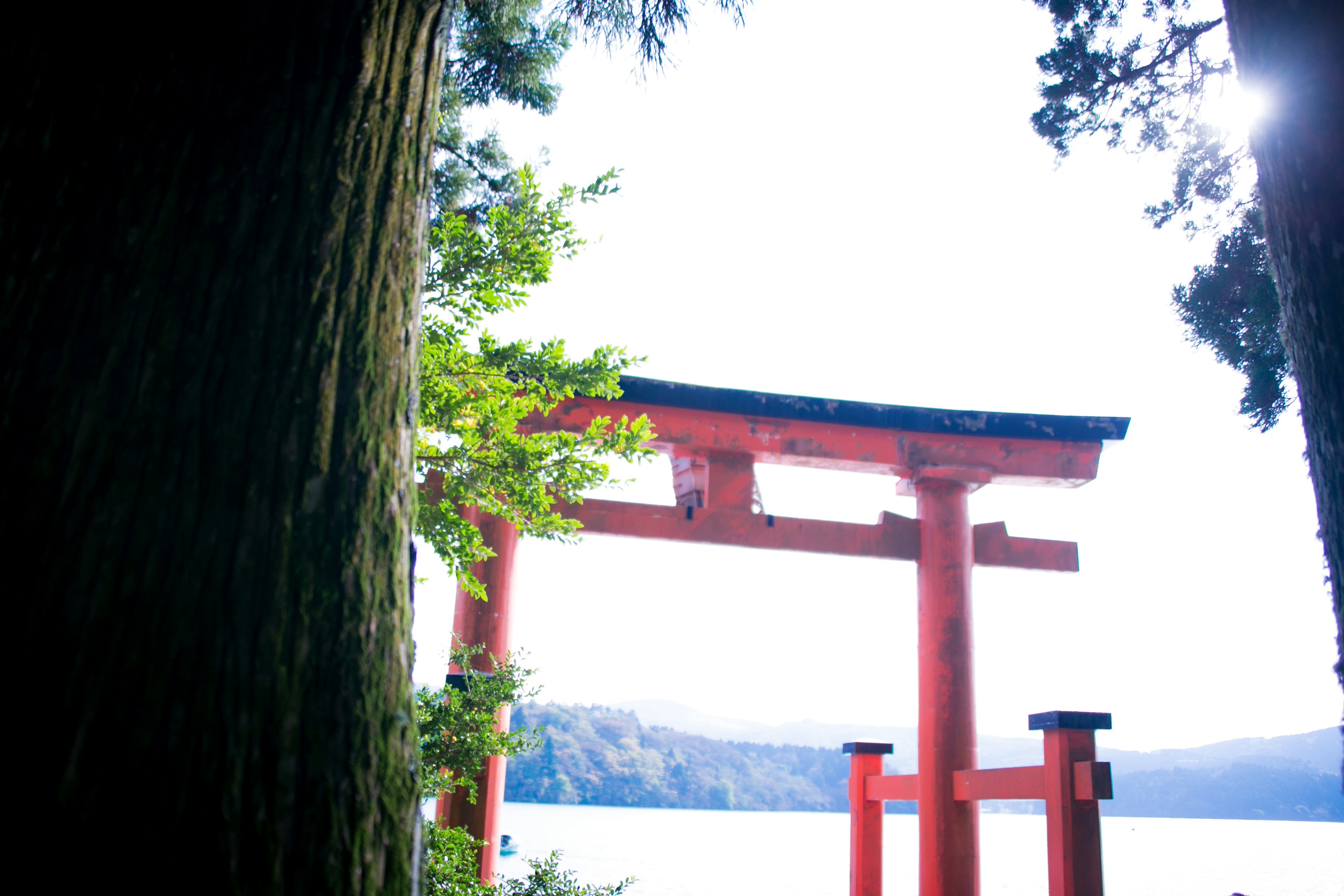 Cổng torii màu đỏ hướng ra hồ được bao quanh bởi cây cối