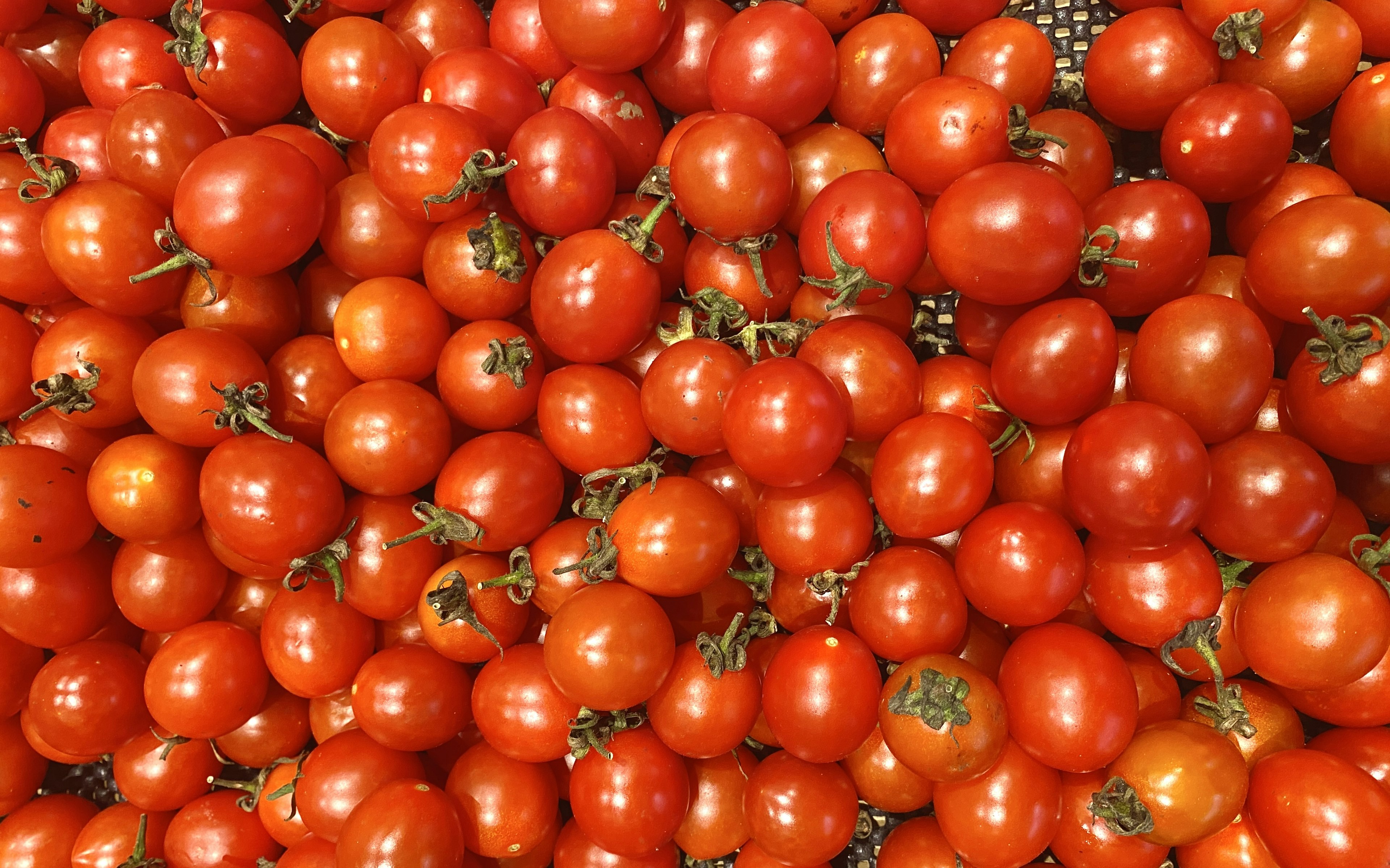 A large quantity of vibrant red tomatoes arranged closely together