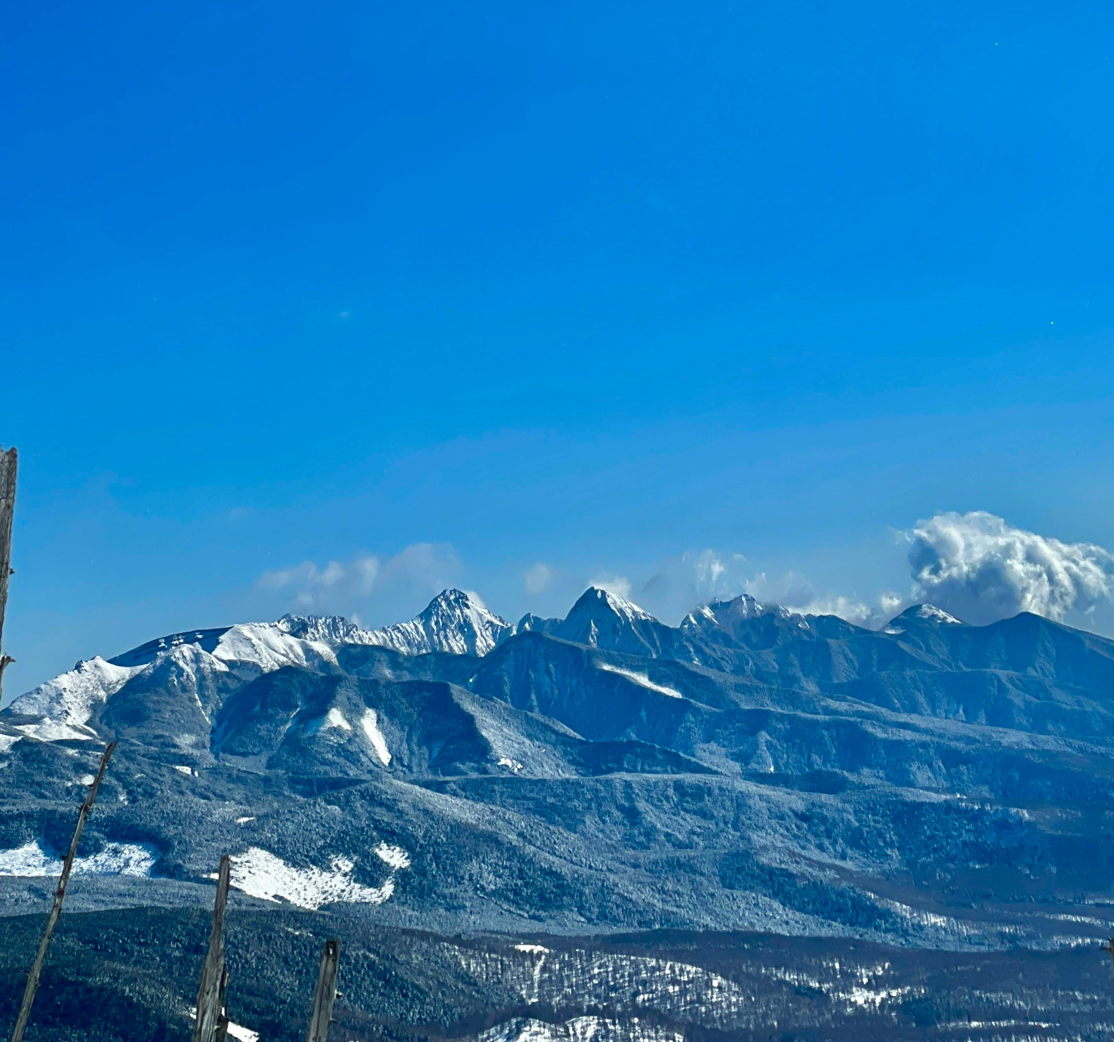 雪に覆われた山々が青空の下に広がる風景