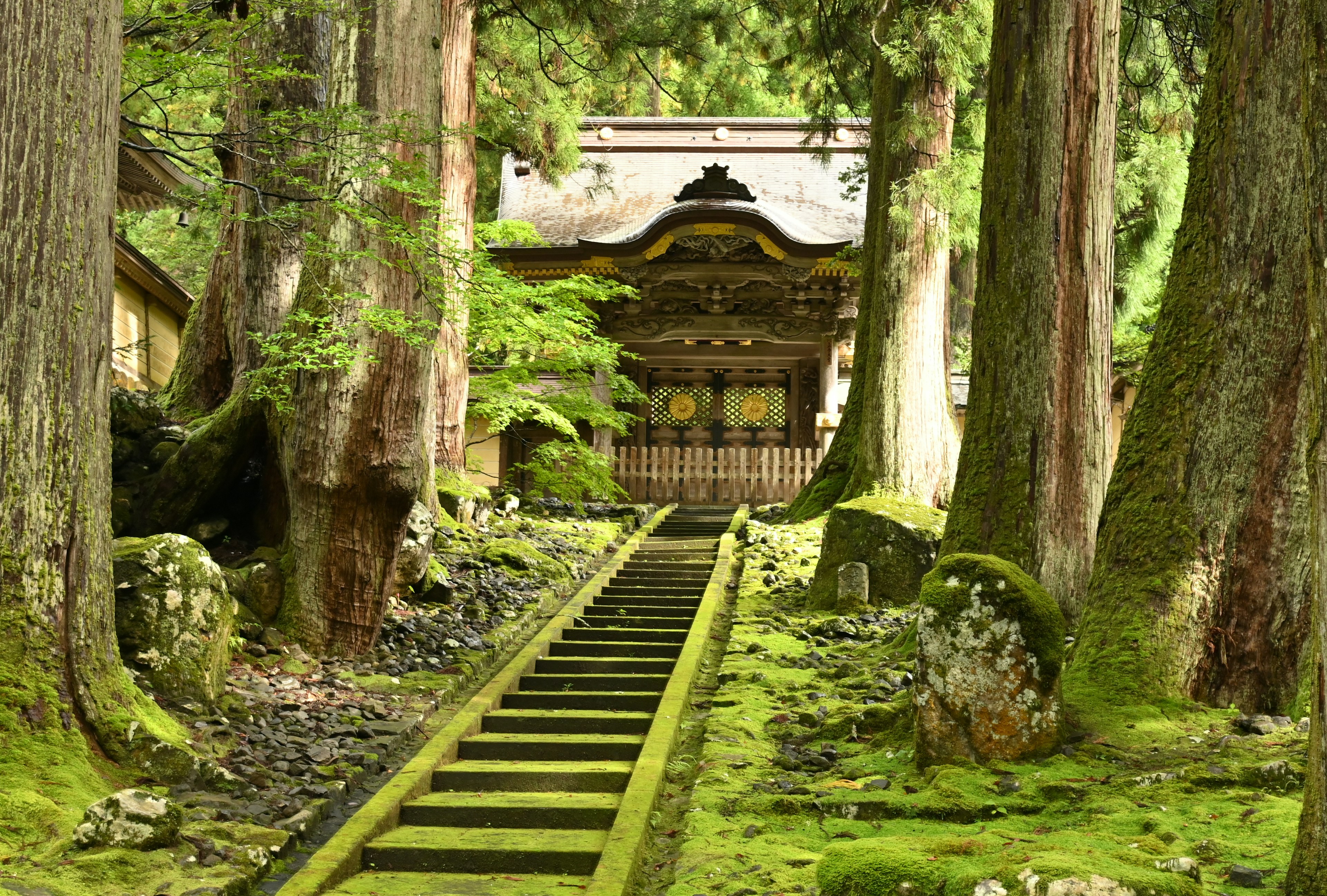 A serene pathway leading to a shrine surrounded by lush greenery