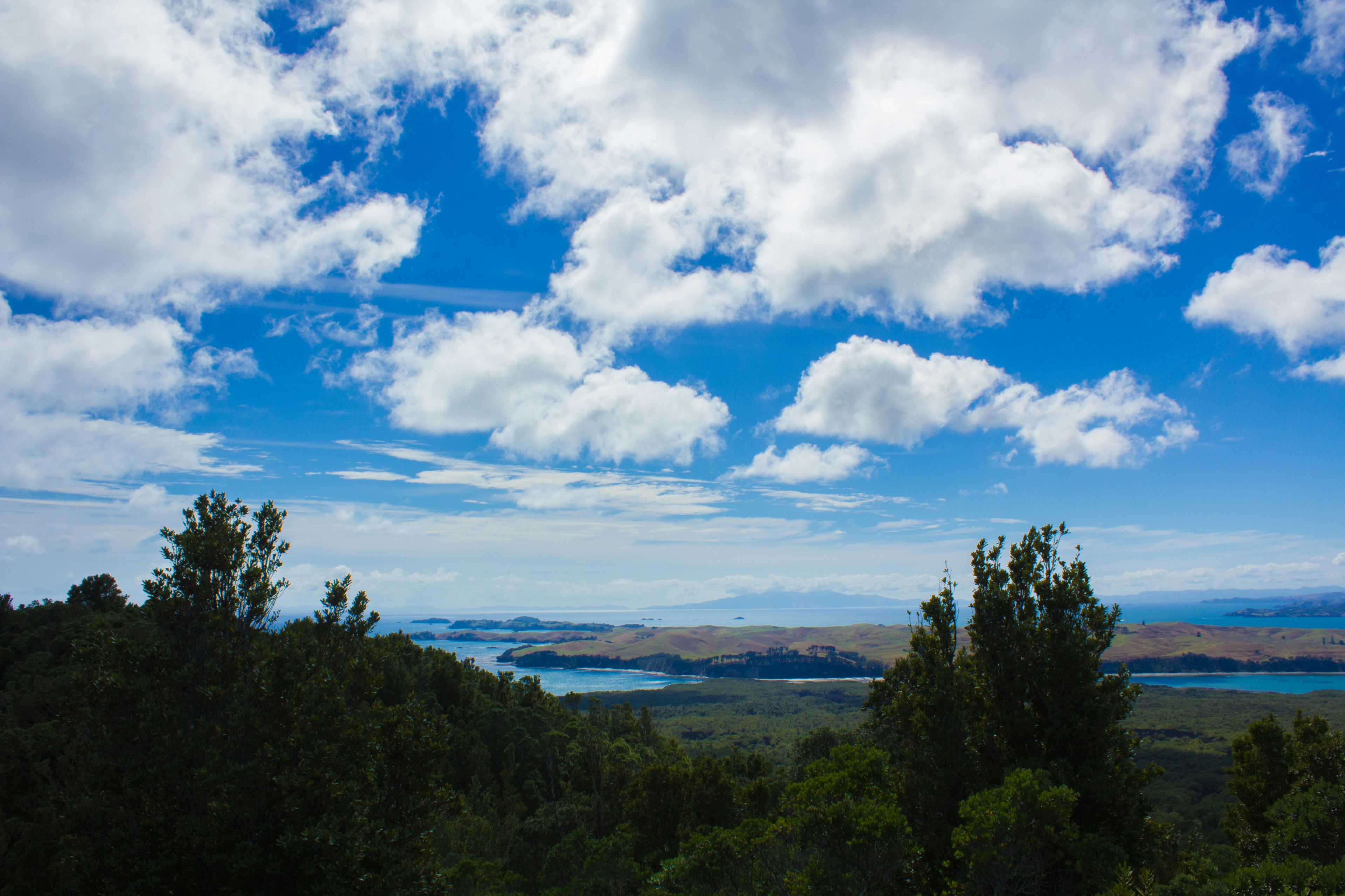 Hermoso paisaje con cielo azul y nubes blancas árboles verdes y un lago