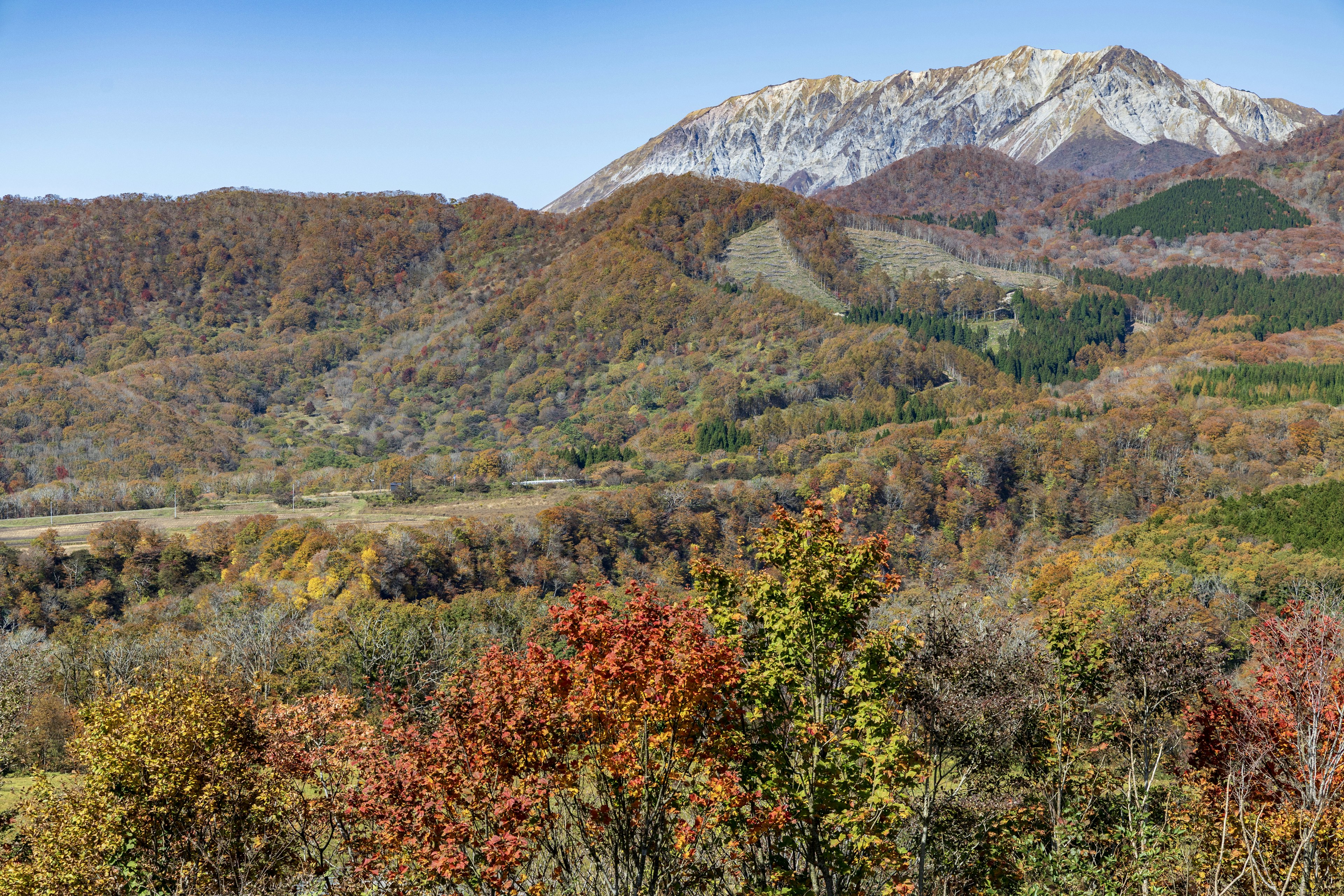 Hermoso paisaje otoñal con árboles coloridos y montañas