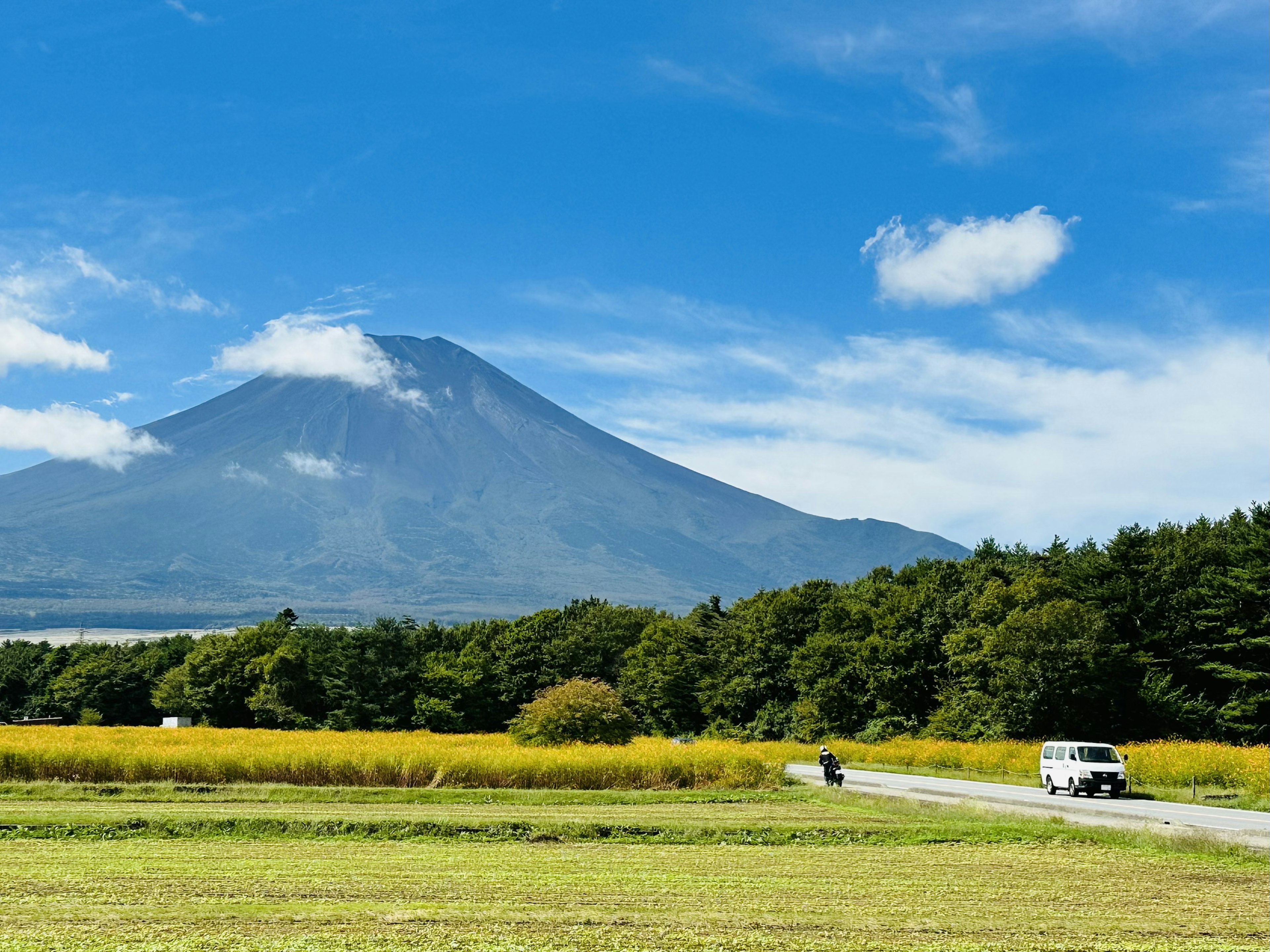 富士山與晴朗的藍天綠色樹木和沿路的黃色花田