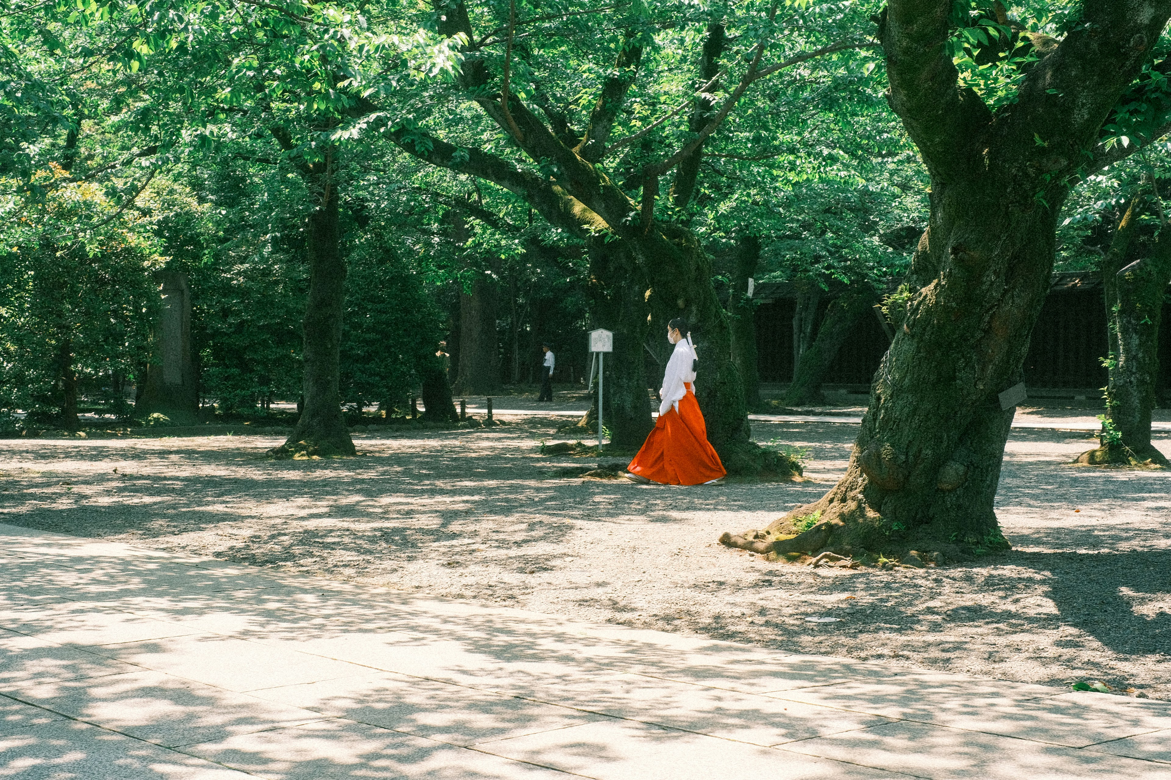 緑豊かな森の中で赤い衣装を着た女性が歩いている