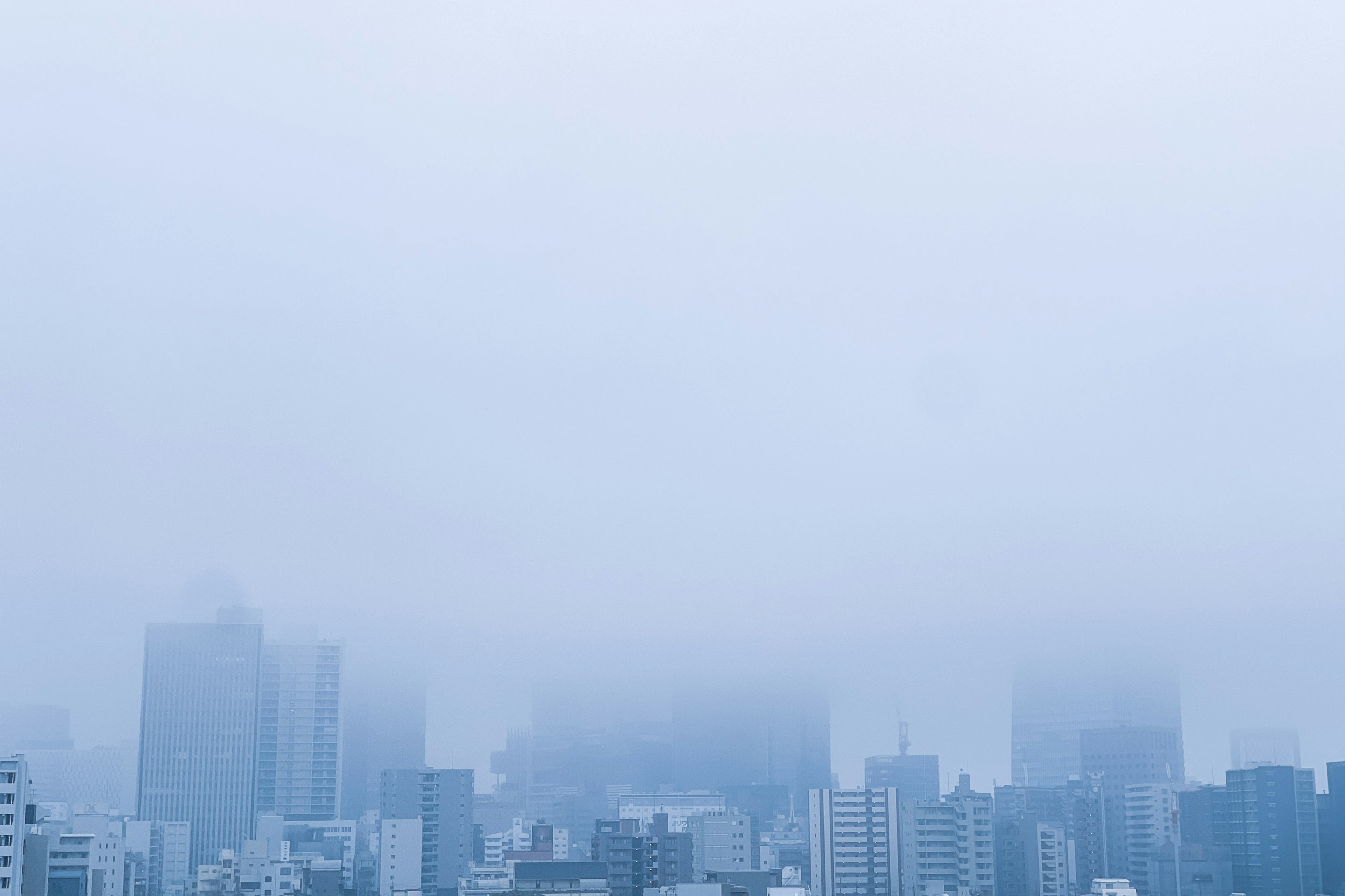 霧に包まれた都市の風景 高層ビルが曇った空の下に見える