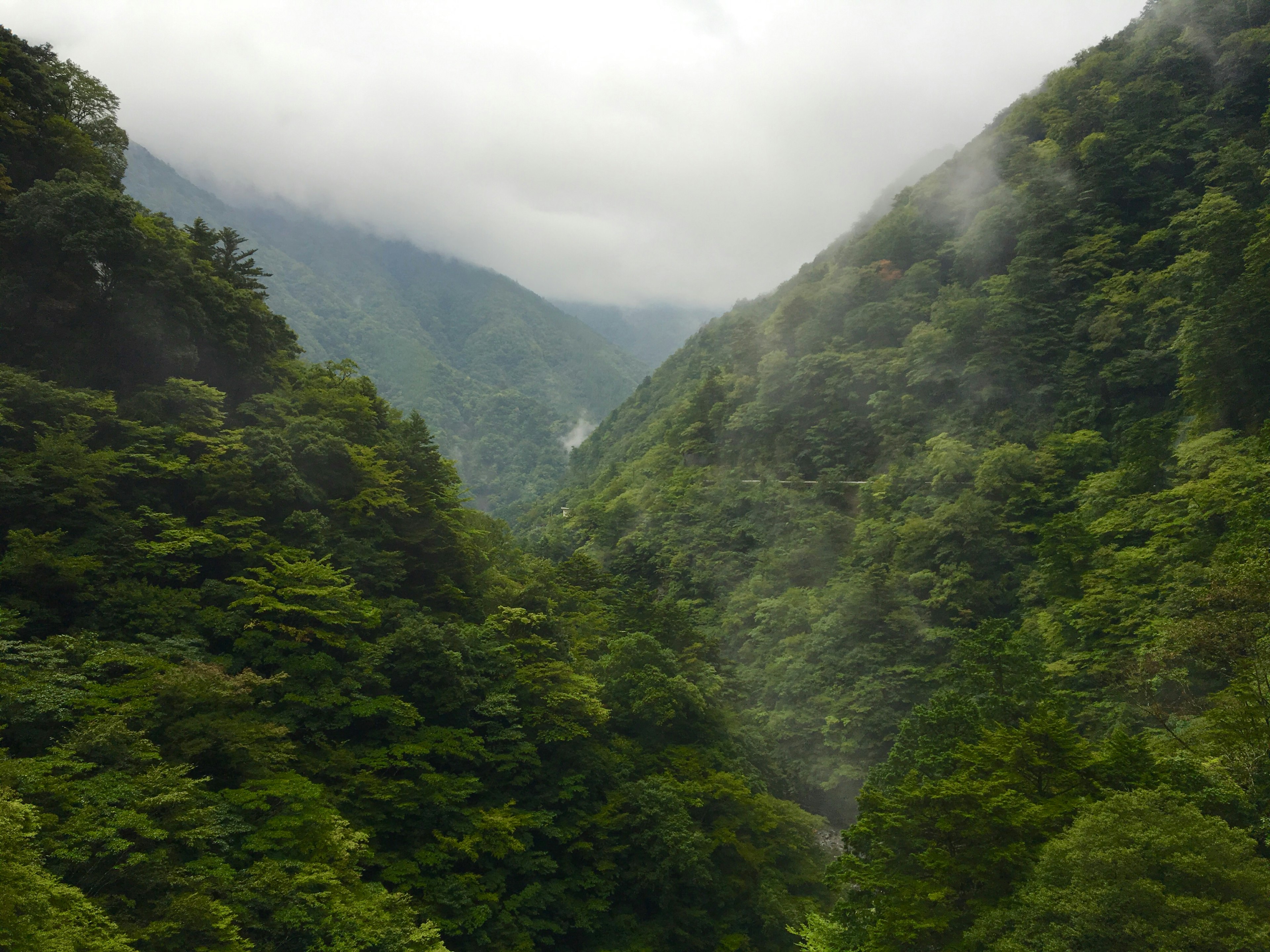 緑豊かな山谷と霧がかかった景色