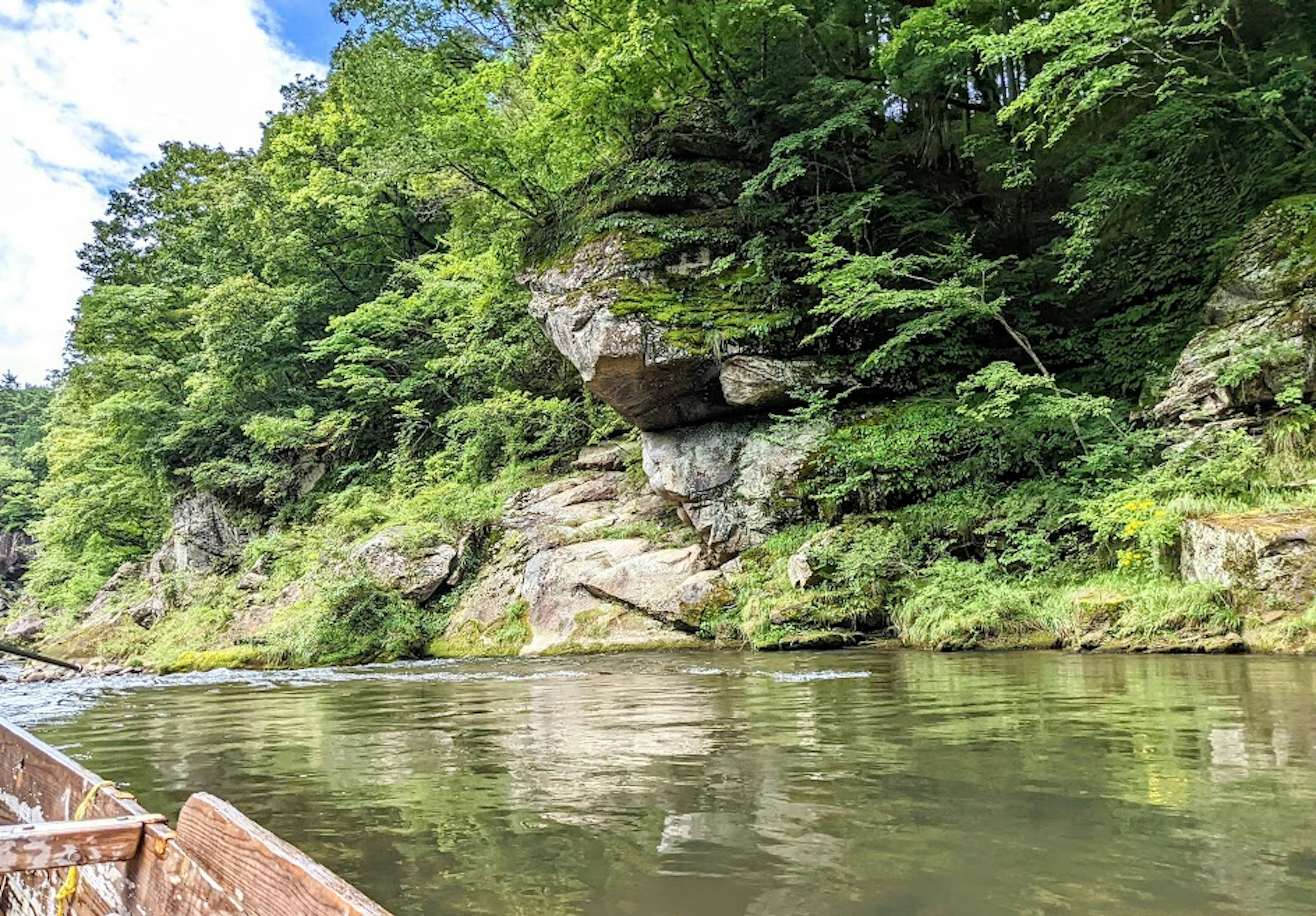 Paisaje de río sereno con vegetación exuberante y acantilados rocosos