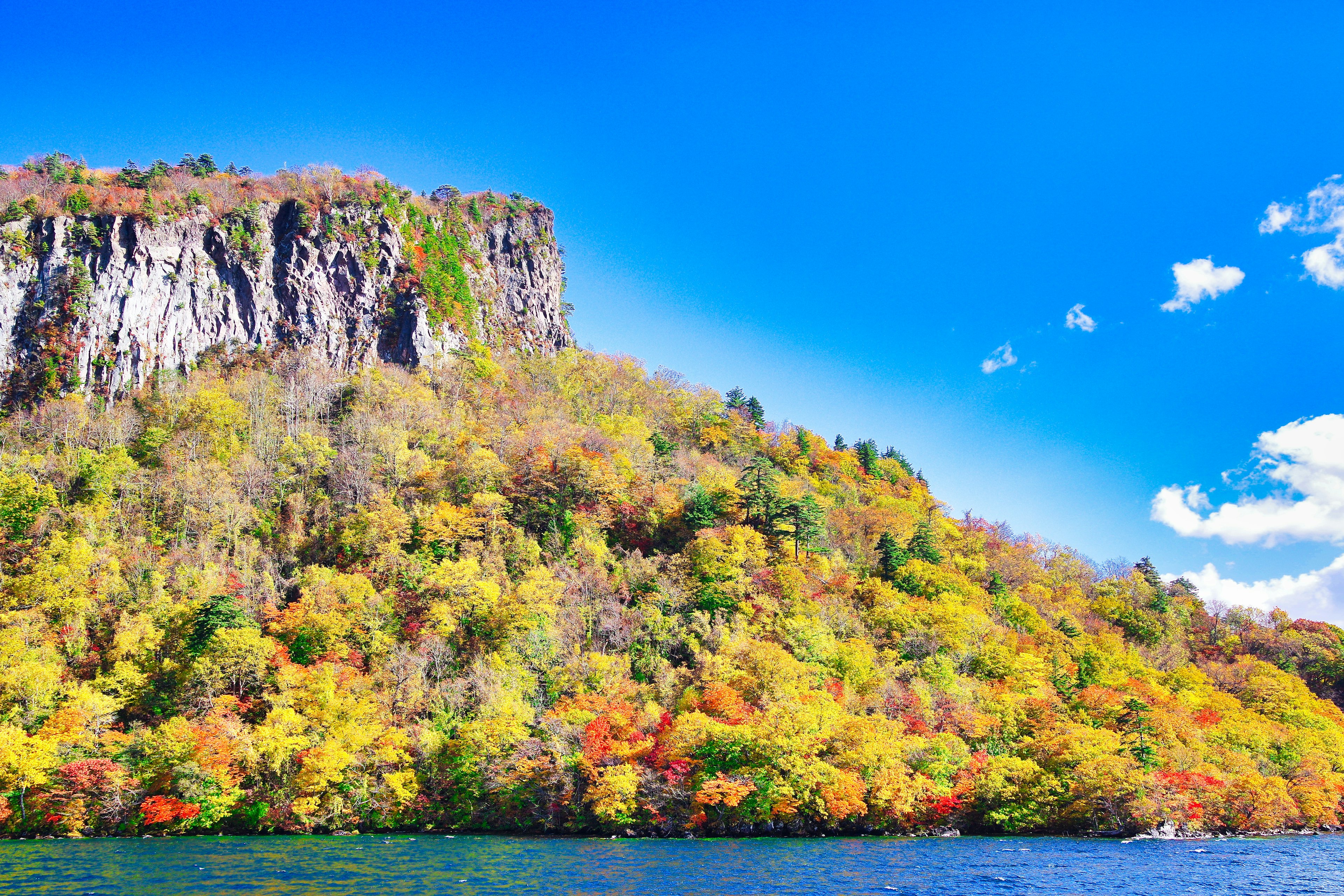 Un paysage automnal coloré avec des arbres et une falaise rocheuse sous un ciel bleu