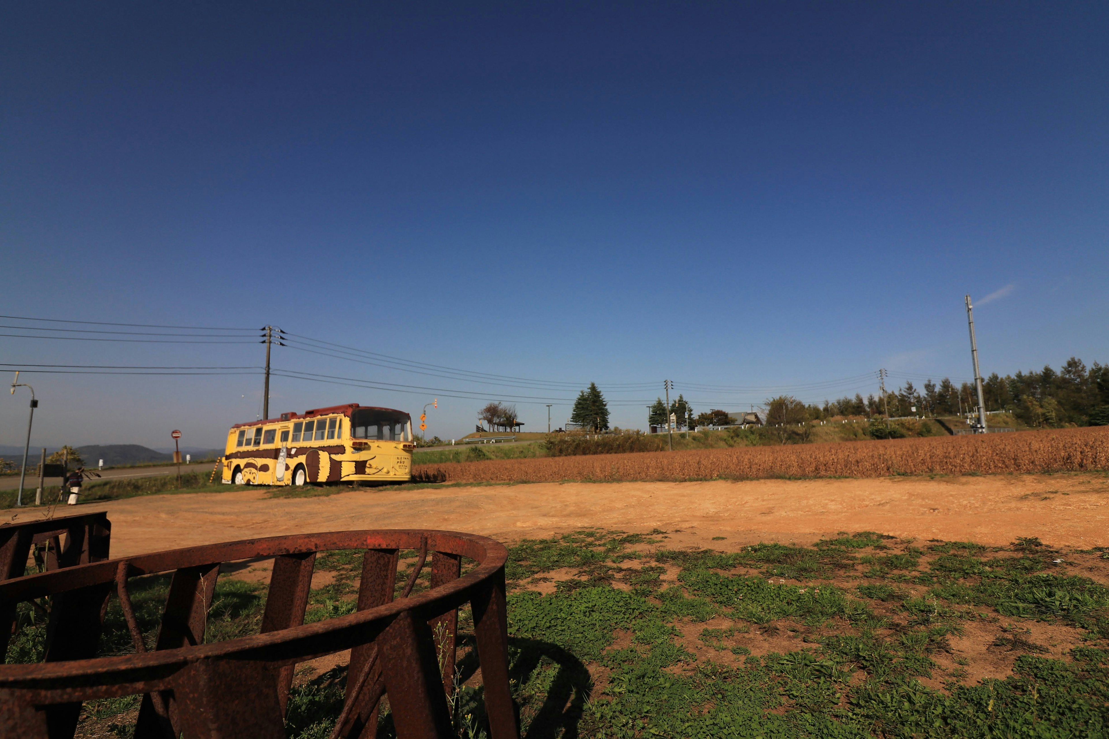 Un autobus giallo in un'area erbosa sotto un cielo blu