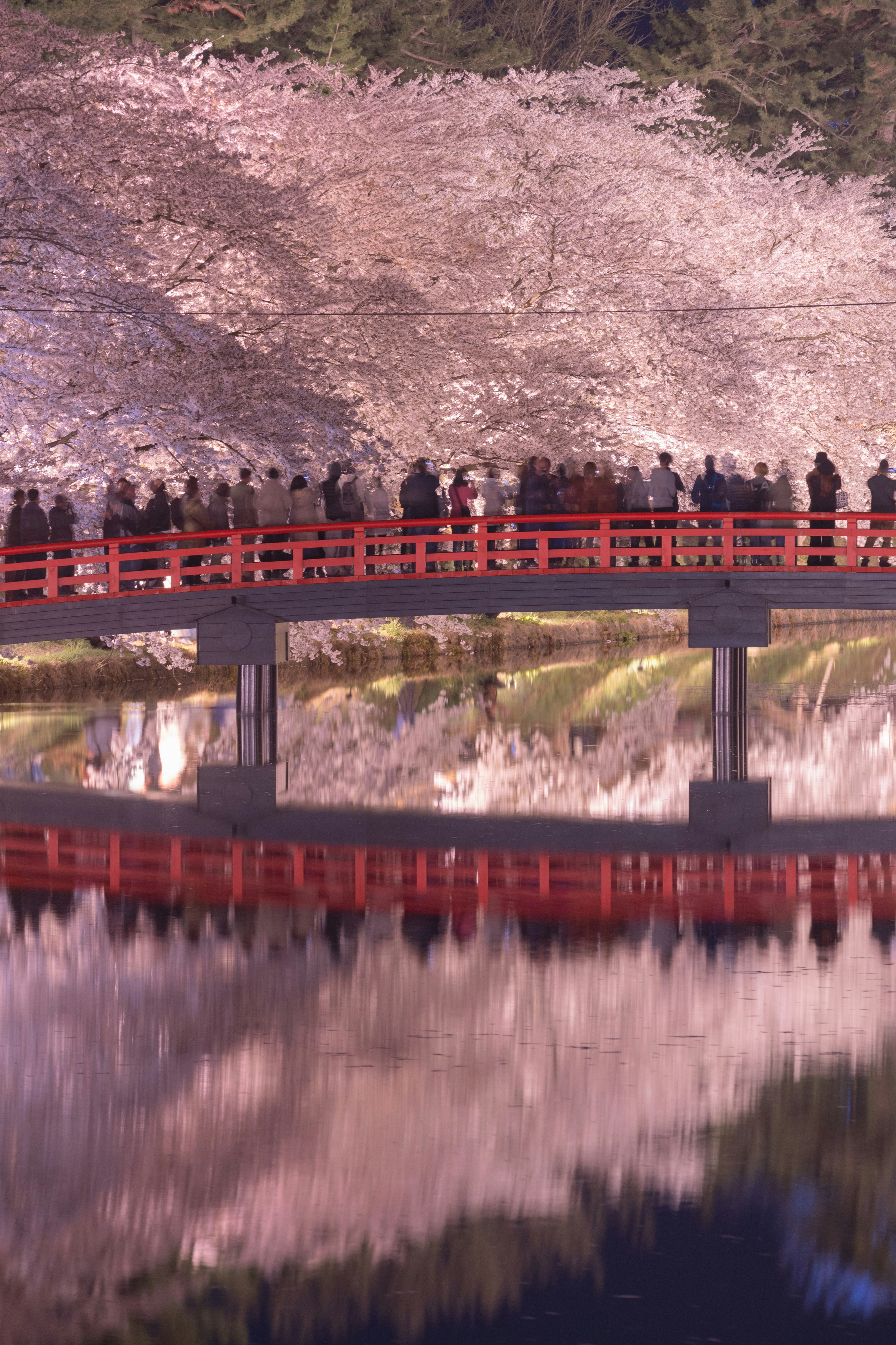 赤い橋と観光客の反射が美しい風景