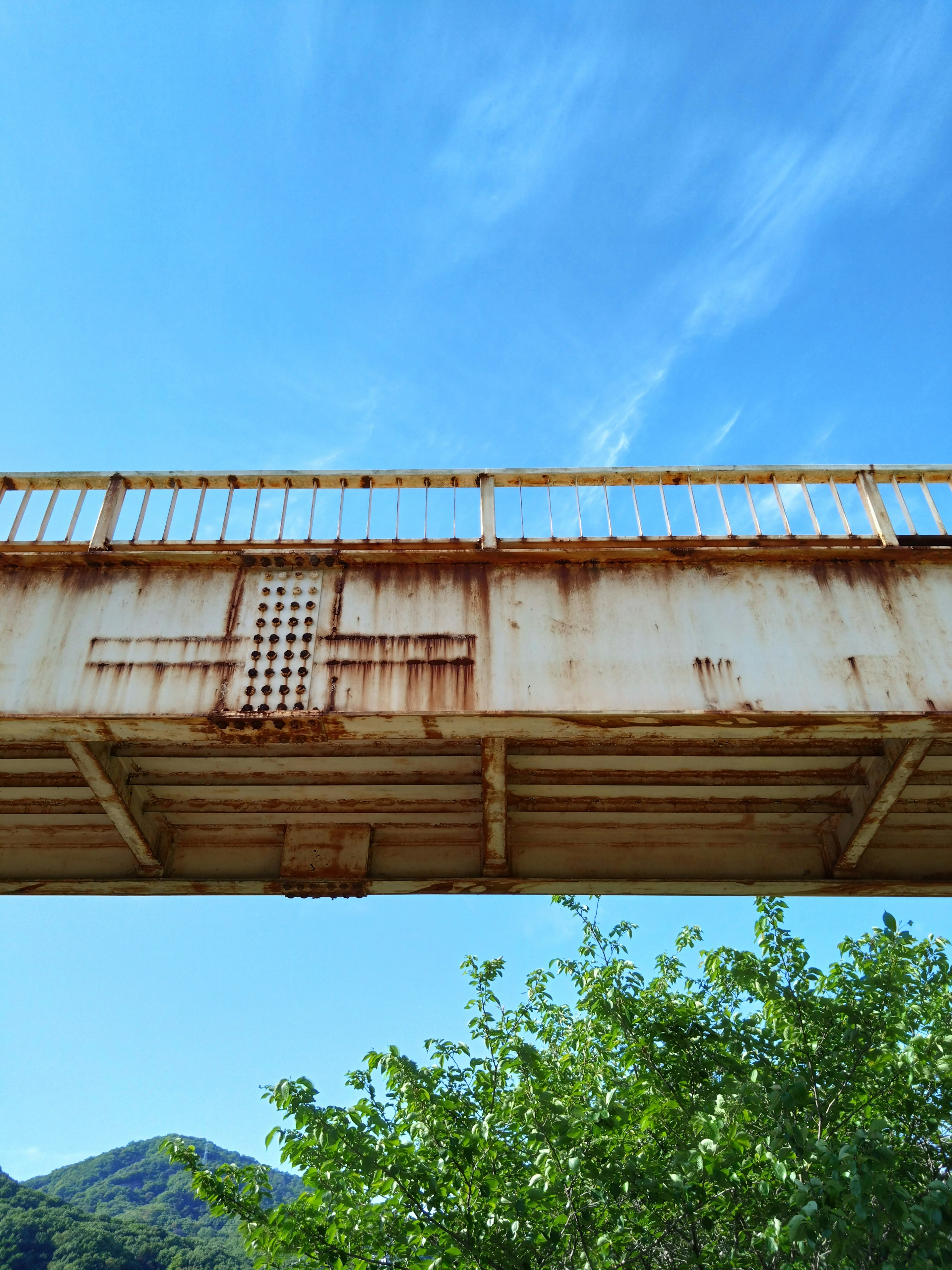 Puente oxidado visto desde abajo con cielo azul claro y follaje verde