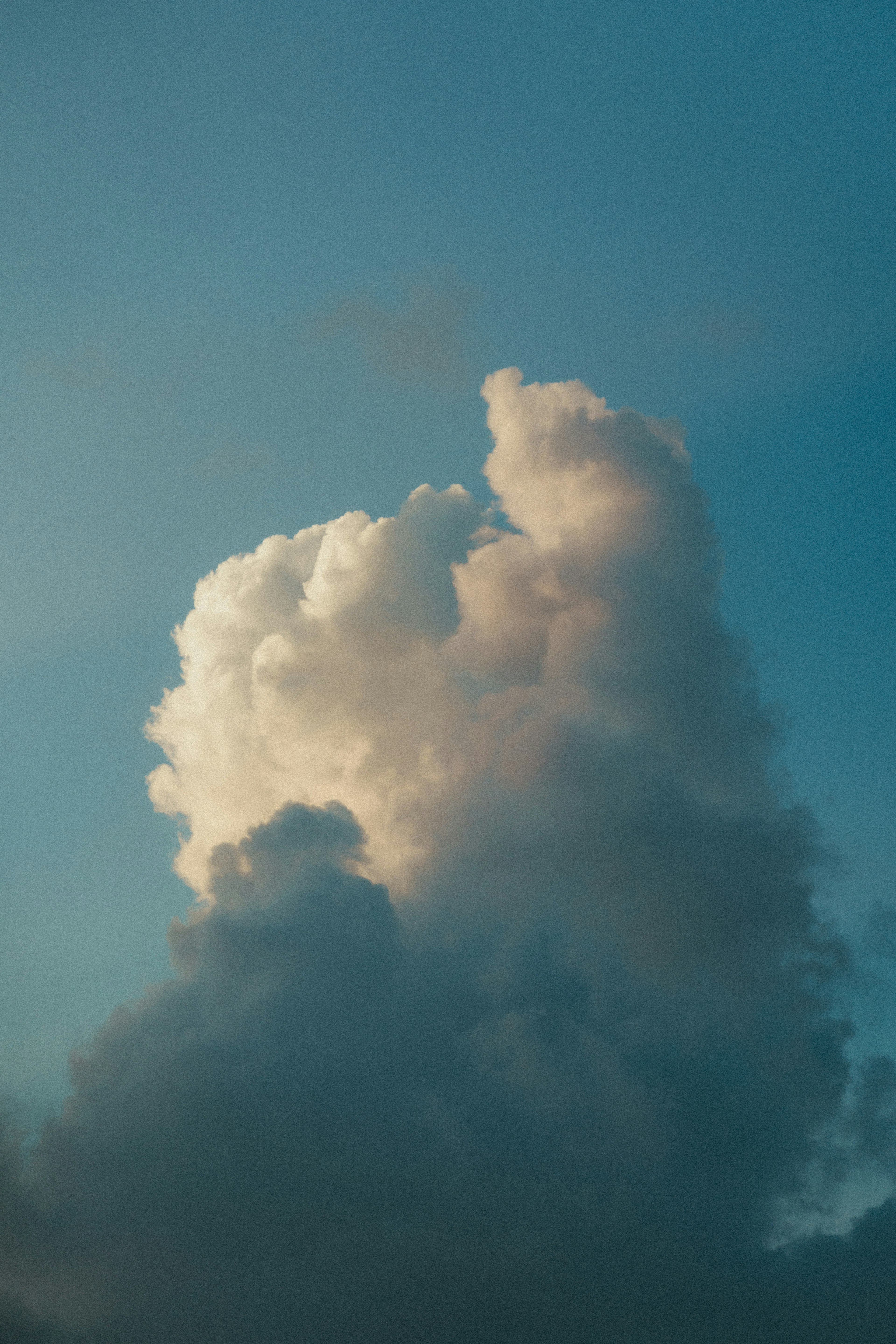 Fluffy white cloud against a blue sky