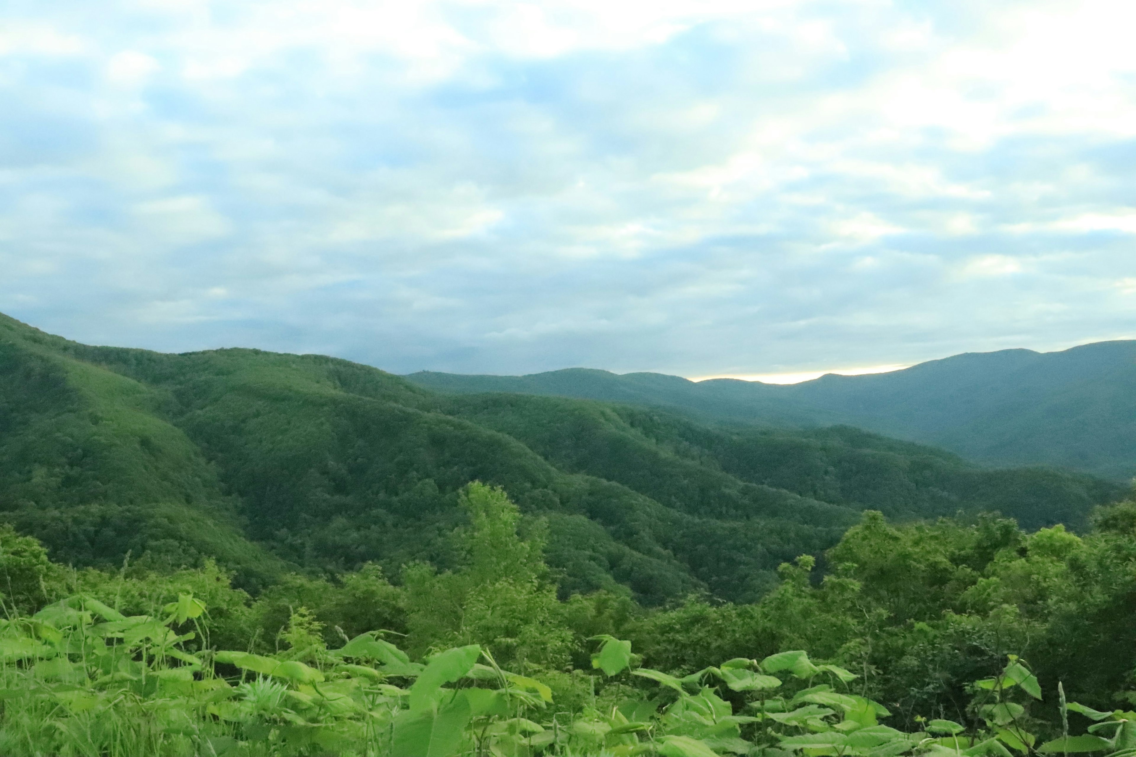 Lush green mountains under a cloudy sky